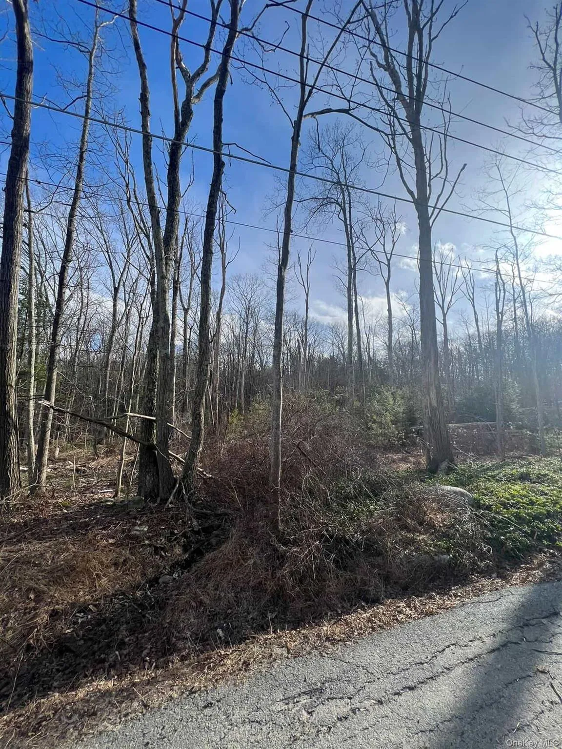0 Laurel Trail, Mamakating, NY, ,Land,For Rent,Laurel,0,977647 0 Laurel Trail, Mamakating, NY, ,Land,For Rent,Laurel,0,977647