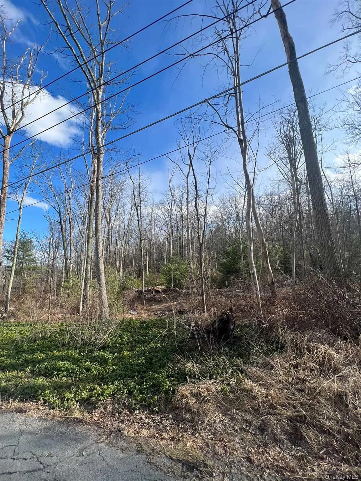 0 Laurel Trail, Mamakating, NY, ,Land,For Rent,Laurel,0,977647 0 Laurel Trail, Mamakating, NY, ,Land,For Rent,Laurel,0,977647