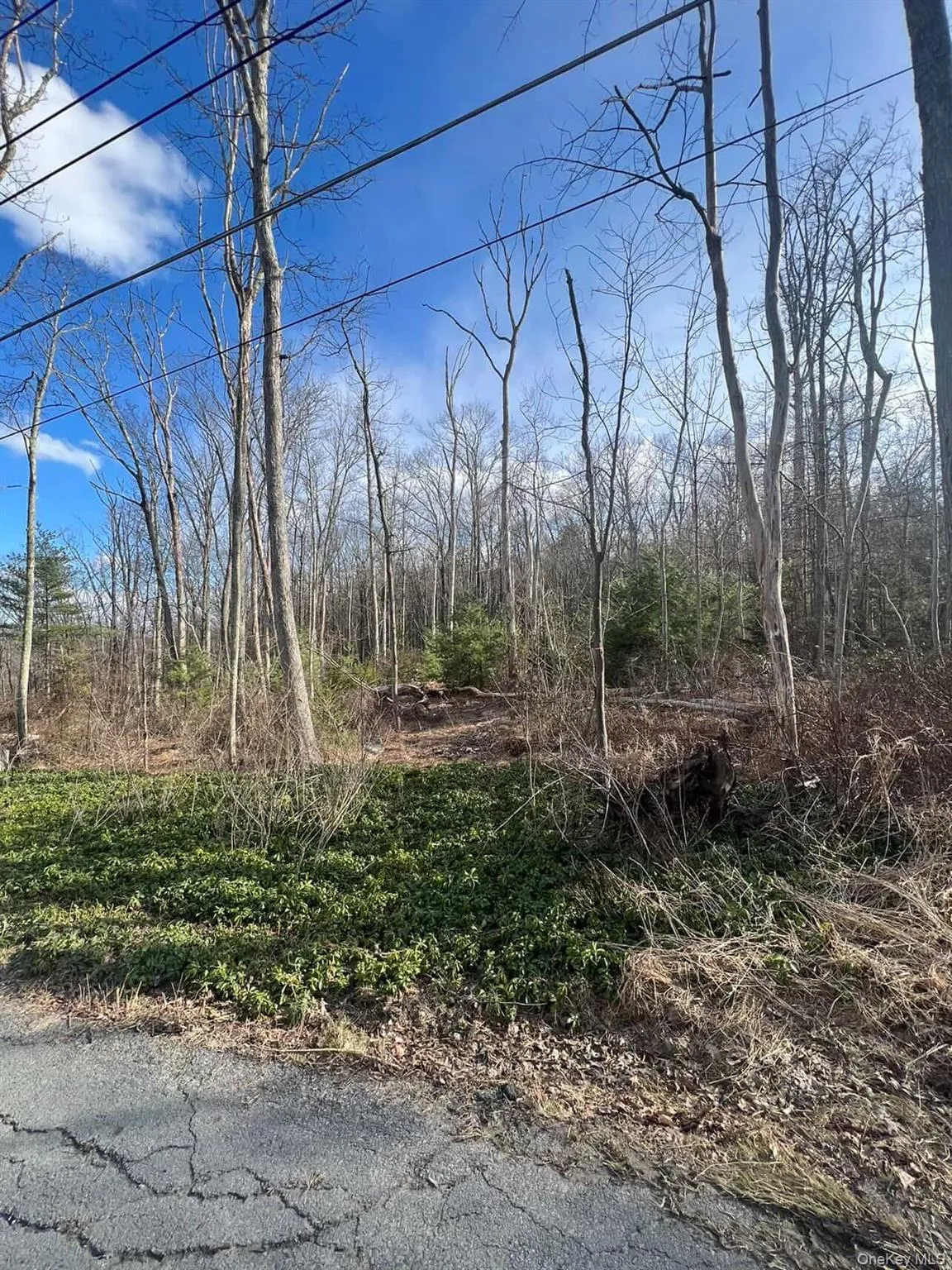 0 Laurel Trail, Mamakating, NY, ,Land,For Rent,Laurel,0,977647 0 Laurel Trail, Mamakating, NY, ,Land,For Rent,Laurel,0,977647