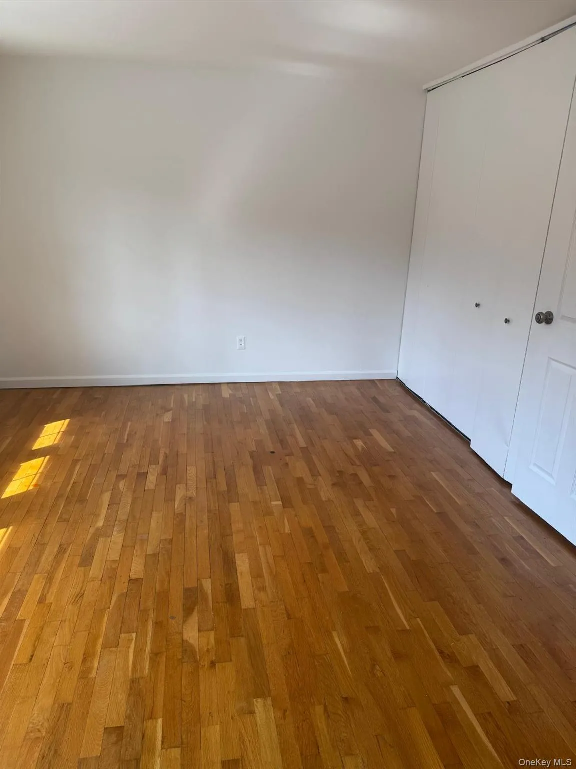 126 Roosevelt Drive, Haverstraw, NY, 3 Bedrooms Bedrooms, 5 Rooms Rooms,1 BathroomBathrooms,Residential Lease,For Rent,Roosevelt,0,977682 126 Roosevelt Drive, Haverstraw, NY, 3 Bedrooms Bedrooms, 5 Rooms Rooms,1 BathroomBathrooms,Residential Lease,For Rent,Roosevelt,0,977682