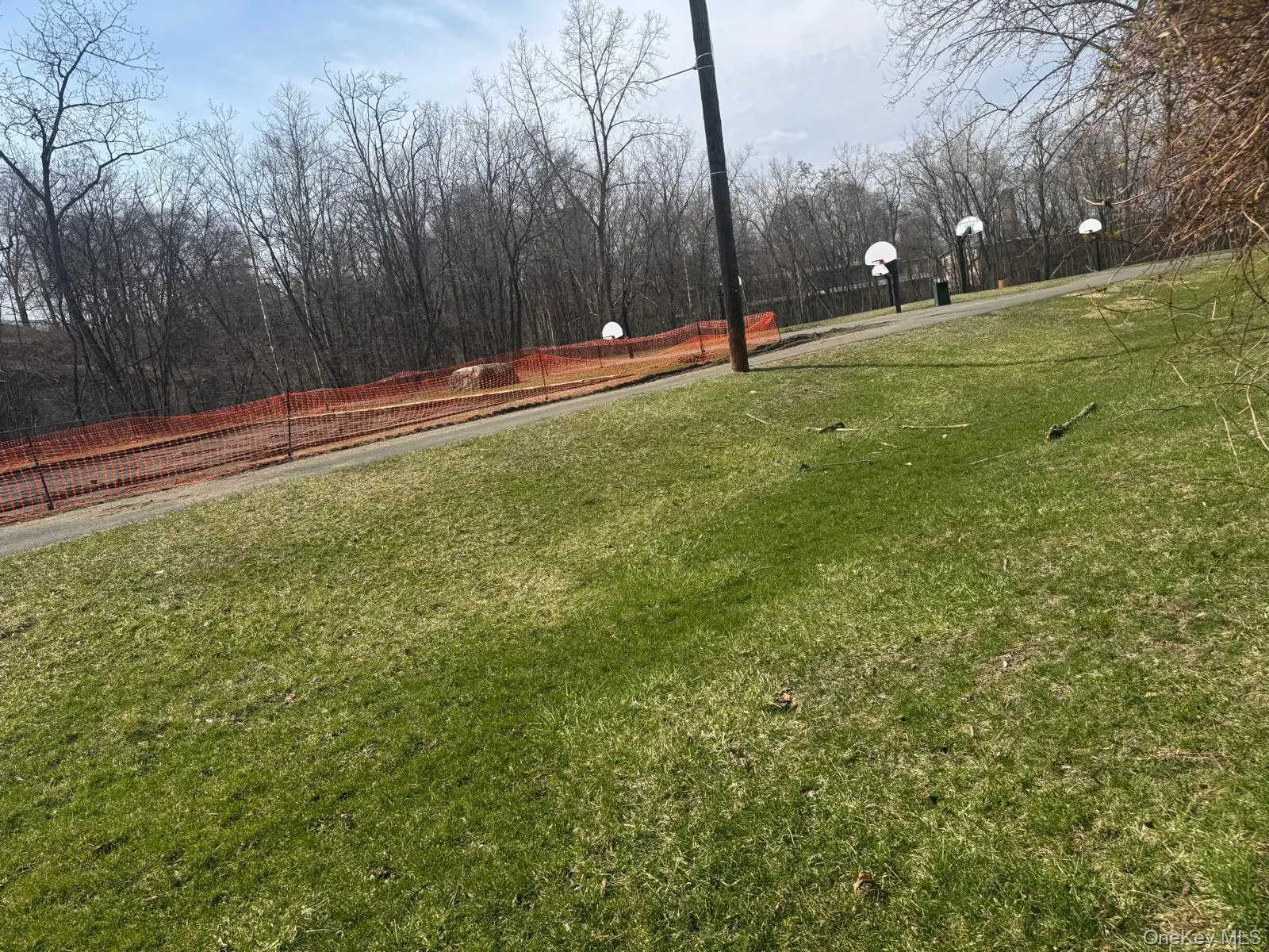 Park adjacent with the backyard Park adjacent with the backyard