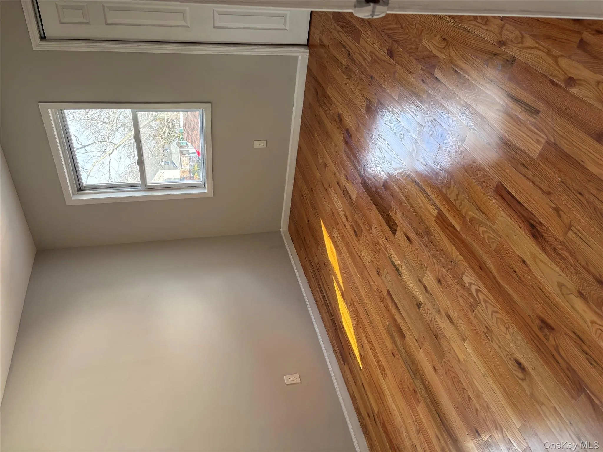 11521 222nd Street, New York, NY, 3 Bedrooms Bedrooms, 5 Rooms Rooms,1 BathroomBathrooms,Residential Lease,For Rent,222nd,0,977686 11521 222nd Street, New York, NY, 3 Bedrooms Bedrooms, 5 Rooms Rooms,1 BathroomBathrooms,Residential Lease,For Rent,222nd,0,977686