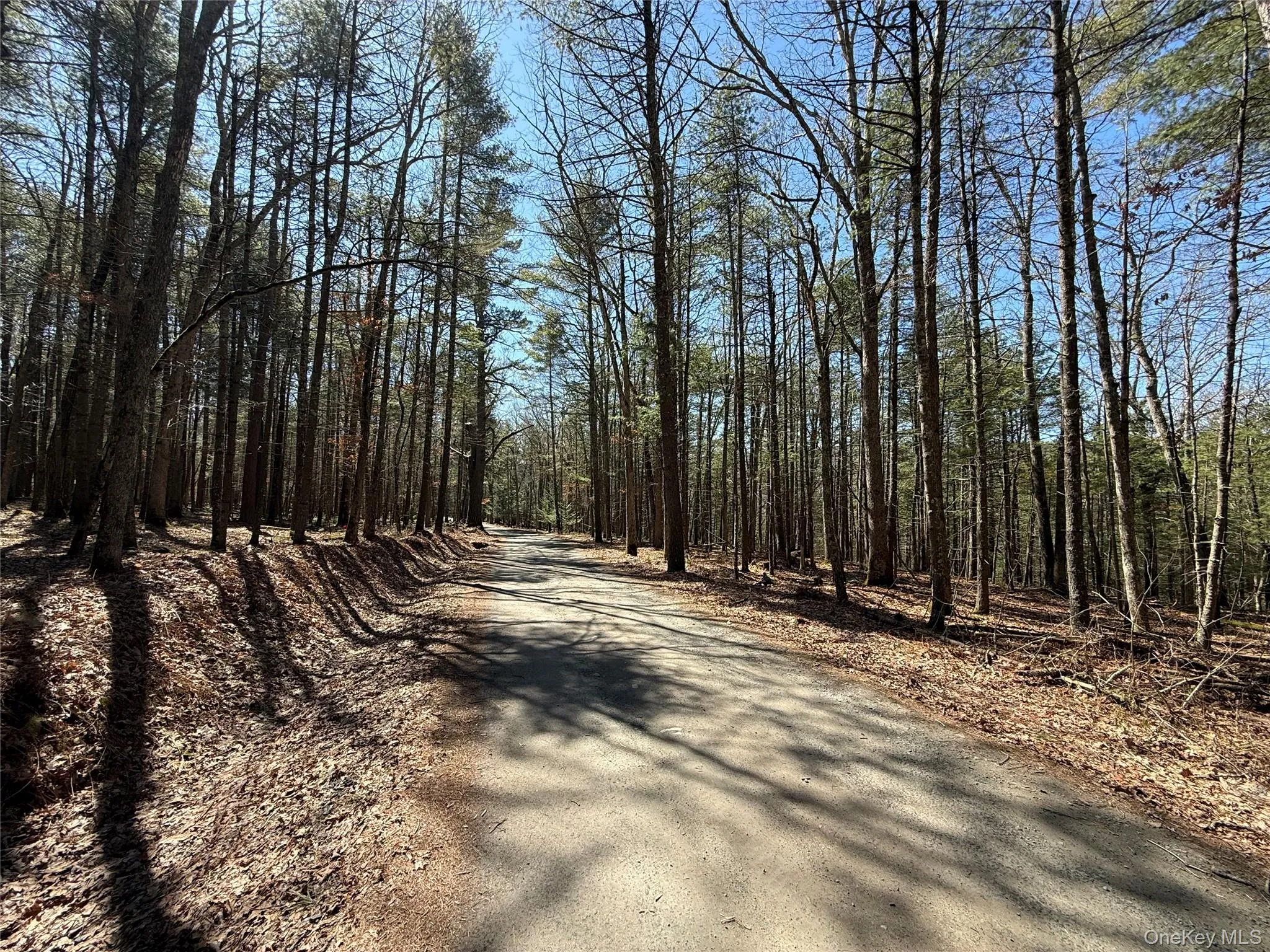 Upper Lumber Road, Lumberland, NY, ,Land,For Rent,Upper Lumber,0,977700 Upper Lumber Road, Lumberland, NY, ,Land,For Rent,Upper Lumber,0,977700
