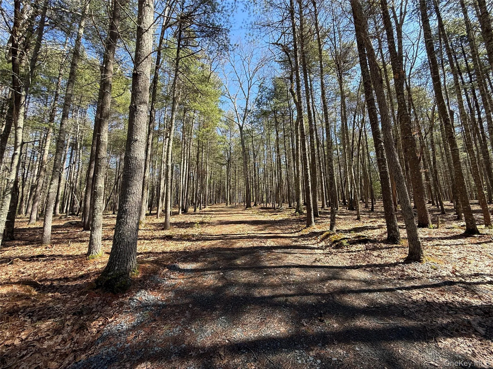 Upper Lumber Road, Lumberland, NY, ,Land,For Rent,Upper Lumber,0,977700 Upper Lumber Road, Lumberland, NY, ,Land,For Rent,Upper Lumber,0,977700