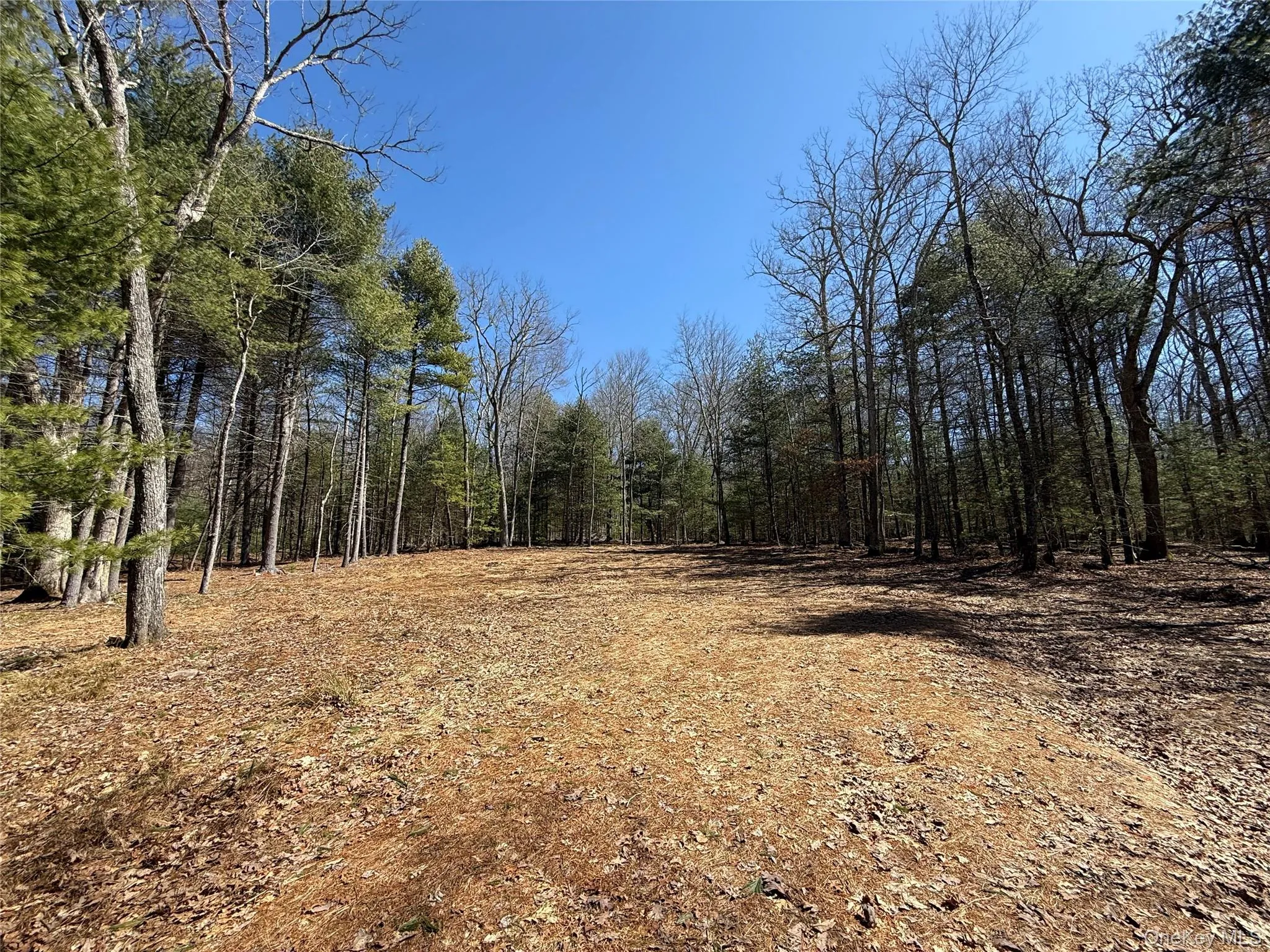 Upper Lumber Road, Lumberland, NY, ,Land,For Rent,Upper Lumber,0,977700 Upper Lumber Road, Lumberland, NY, ,Land,For Rent,Upper Lumber,0,977700
