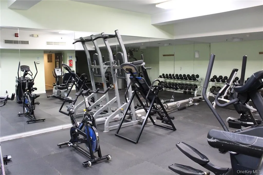 Gym Gym