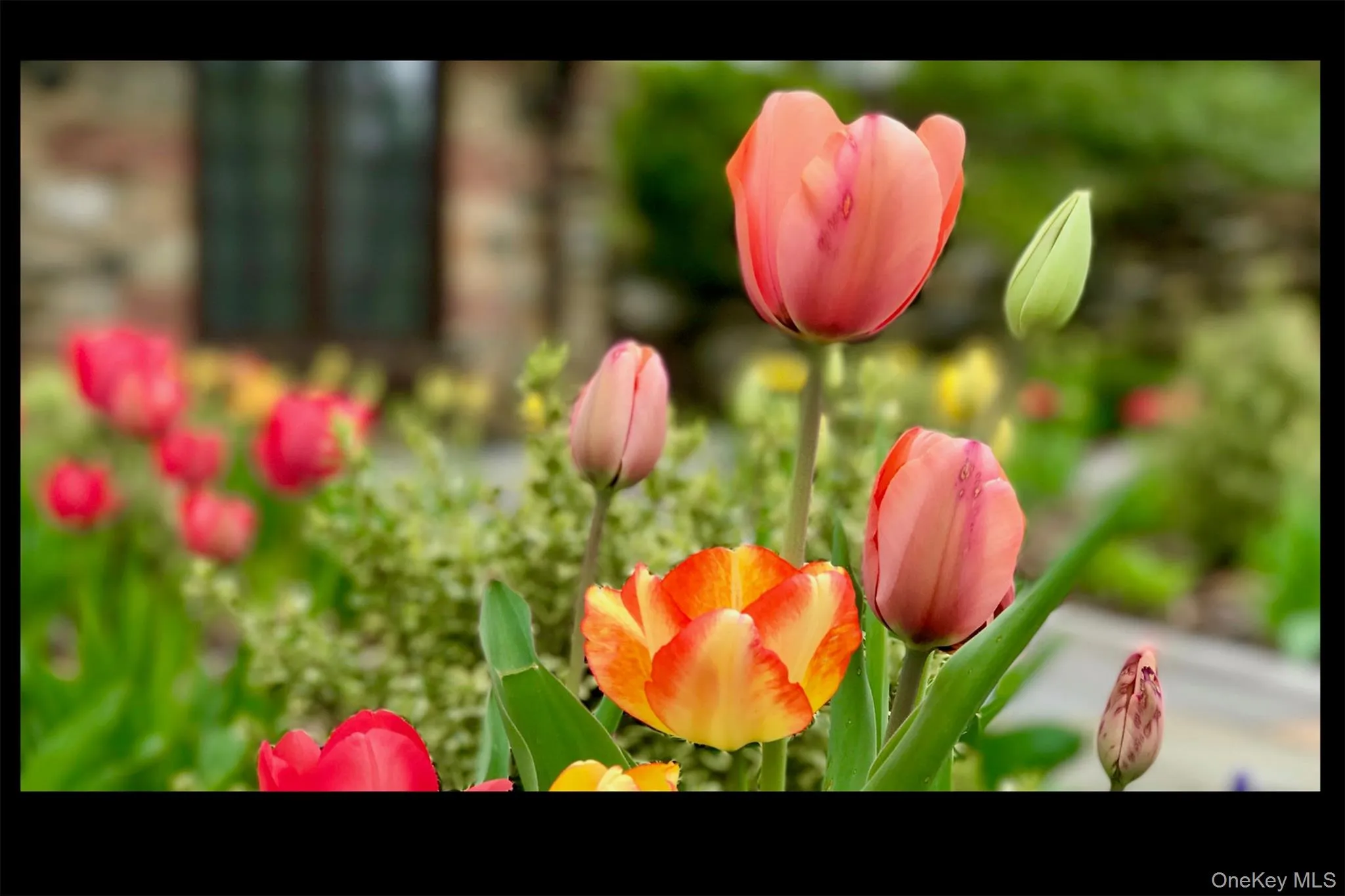 The beauty of springtime. The beauty of springtime.