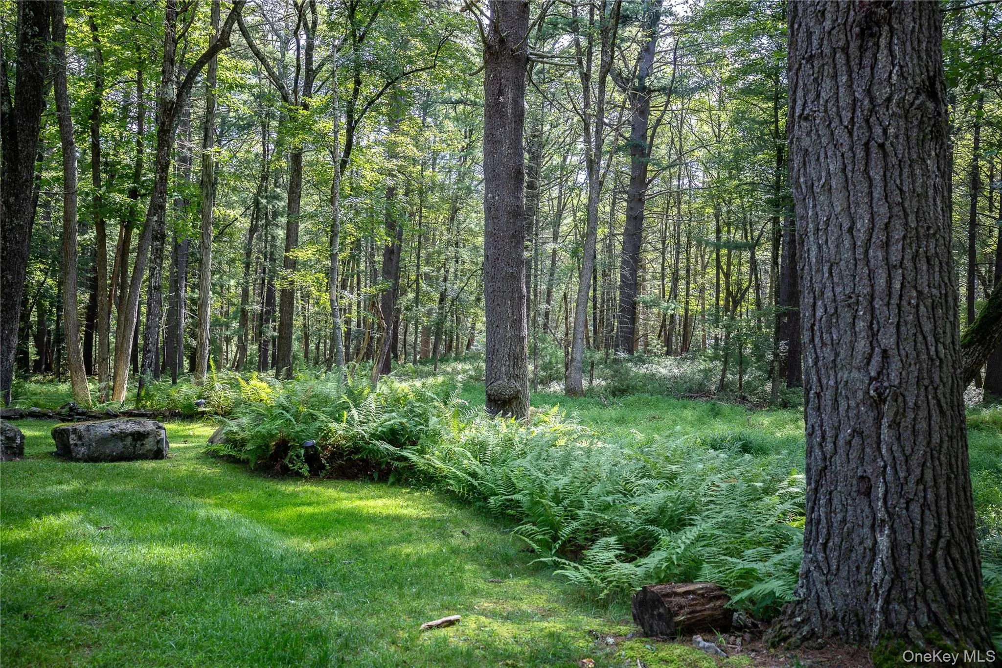 30 Woods Road, Highland, NY, 2 Bedrooms Bedrooms, 5 Rooms Rooms,1 BathroomBathrooms,Residential,For Rent,Woods,0,977778 30 Woods Road, Highland, NY, 2 Bedrooms Bedrooms, 5 Rooms Rooms,1 BathroomBathrooms,Residential,For Rent,Woods,0,977778