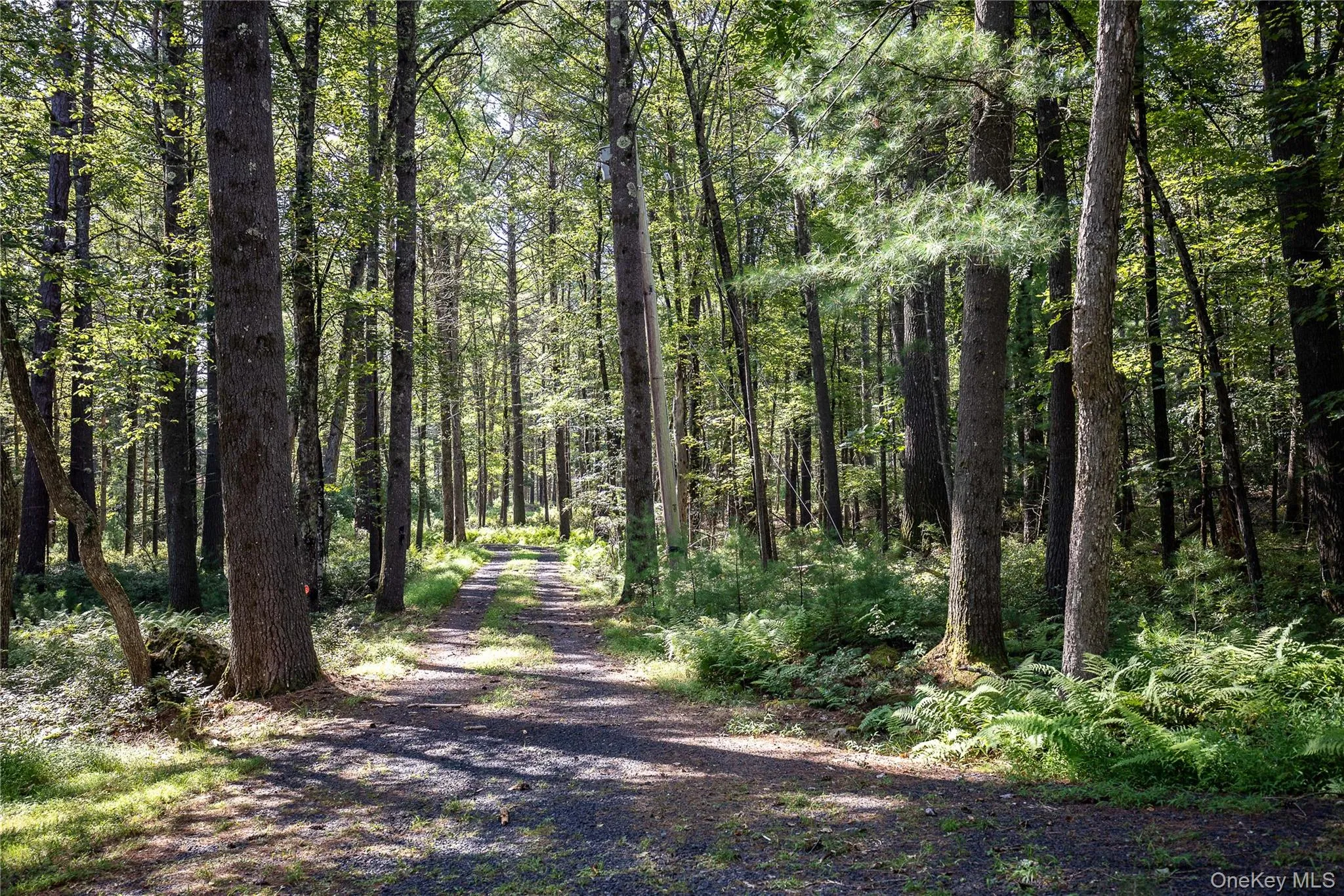30 Woods Road, Highland, NY, 2 Bedrooms Bedrooms, 5 Rooms Rooms,1 BathroomBathrooms,Residential,For Rent,Woods,0,977778 30 Woods Road, Highland, NY, 2 Bedrooms Bedrooms, 5 Rooms Rooms,1 BathroomBathrooms,Residential,For Rent,Woods,0,977778