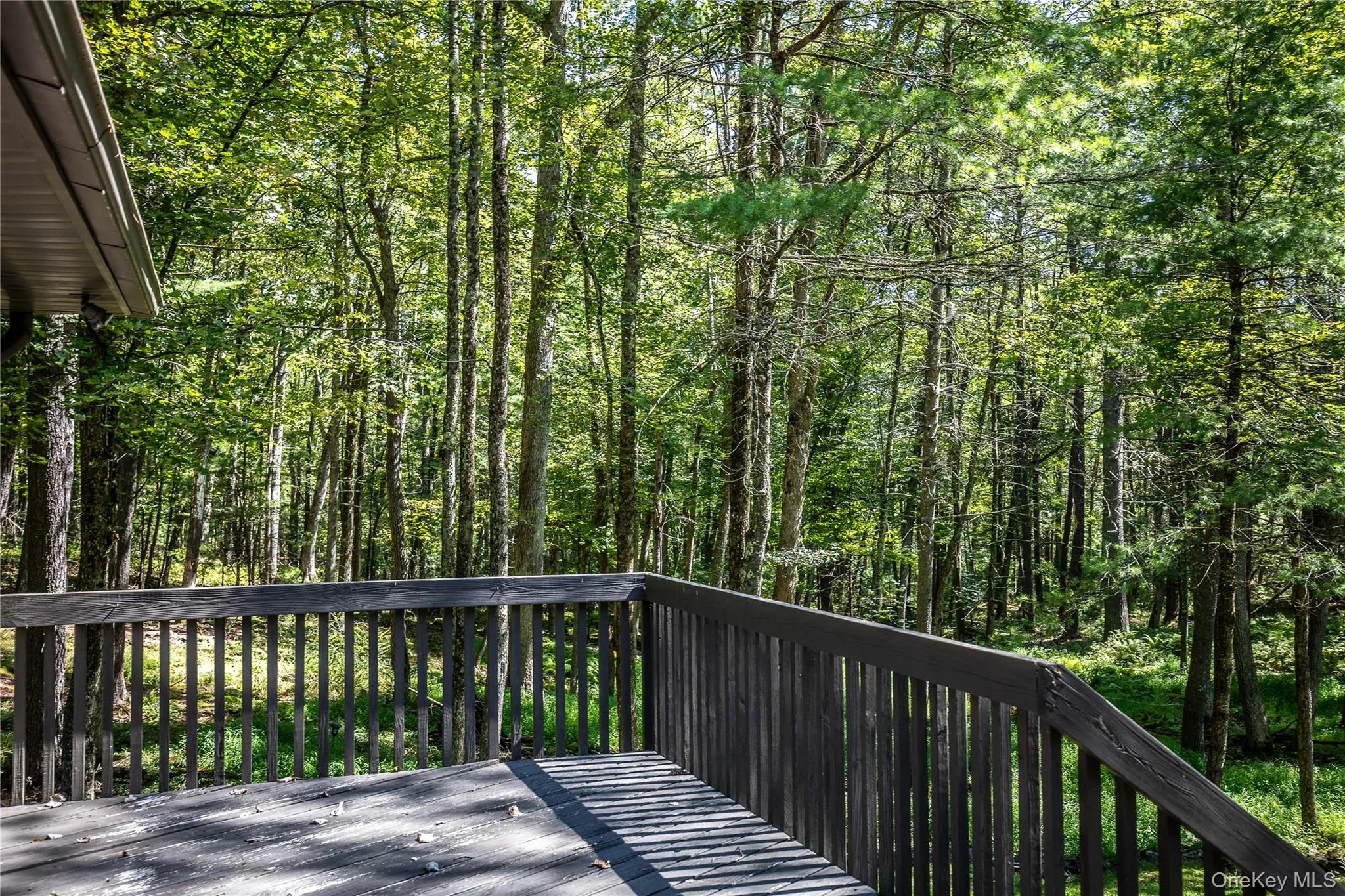 30 Woods Road, Highland, NY, 2 Bedrooms Bedrooms, 5 Rooms Rooms,1 BathroomBathrooms,Residential,For Rent,Woods,0,977778 30 Woods Road, Highland, NY, 2 Bedrooms Bedrooms, 5 Rooms Rooms,1 BathroomBathrooms,Residential,For Rent,Woods,0,977778