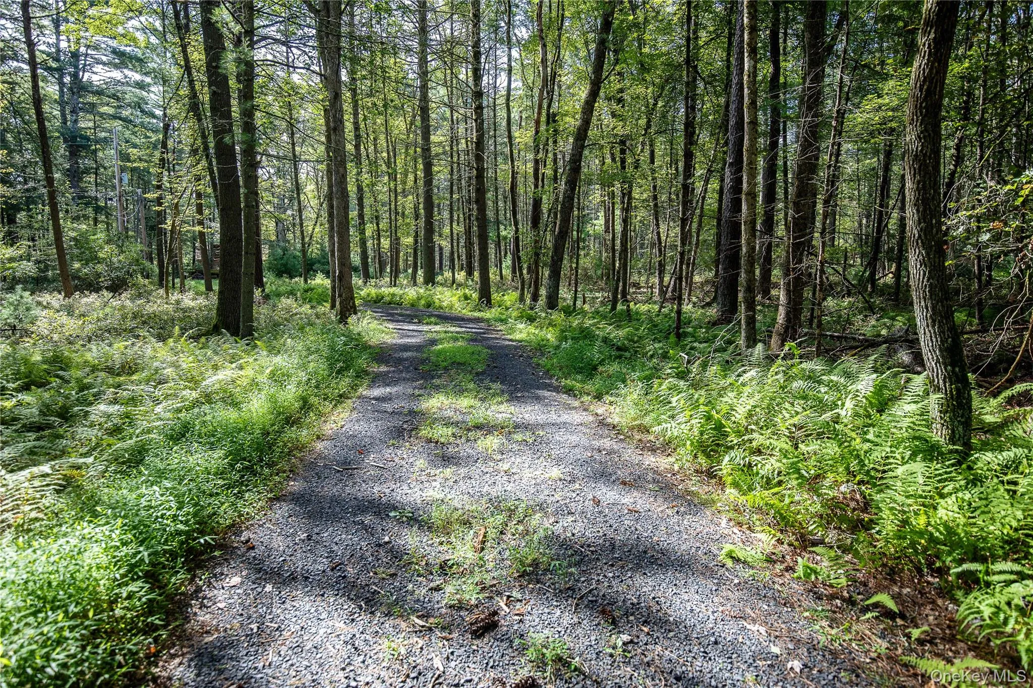 30 Woods Road, Highland, NY, 2 Bedrooms Bedrooms, 5 Rooms Rooms,1 BathroomBathrooms,Residential,For Rent,Woods,0,977778 30 Woods Road, Highland, NY, 2 Bedrooms Bedrooms, 5 Rooms Rooms,1 BathroomBathrooms,Residential,For Rent,Woods,0,977778