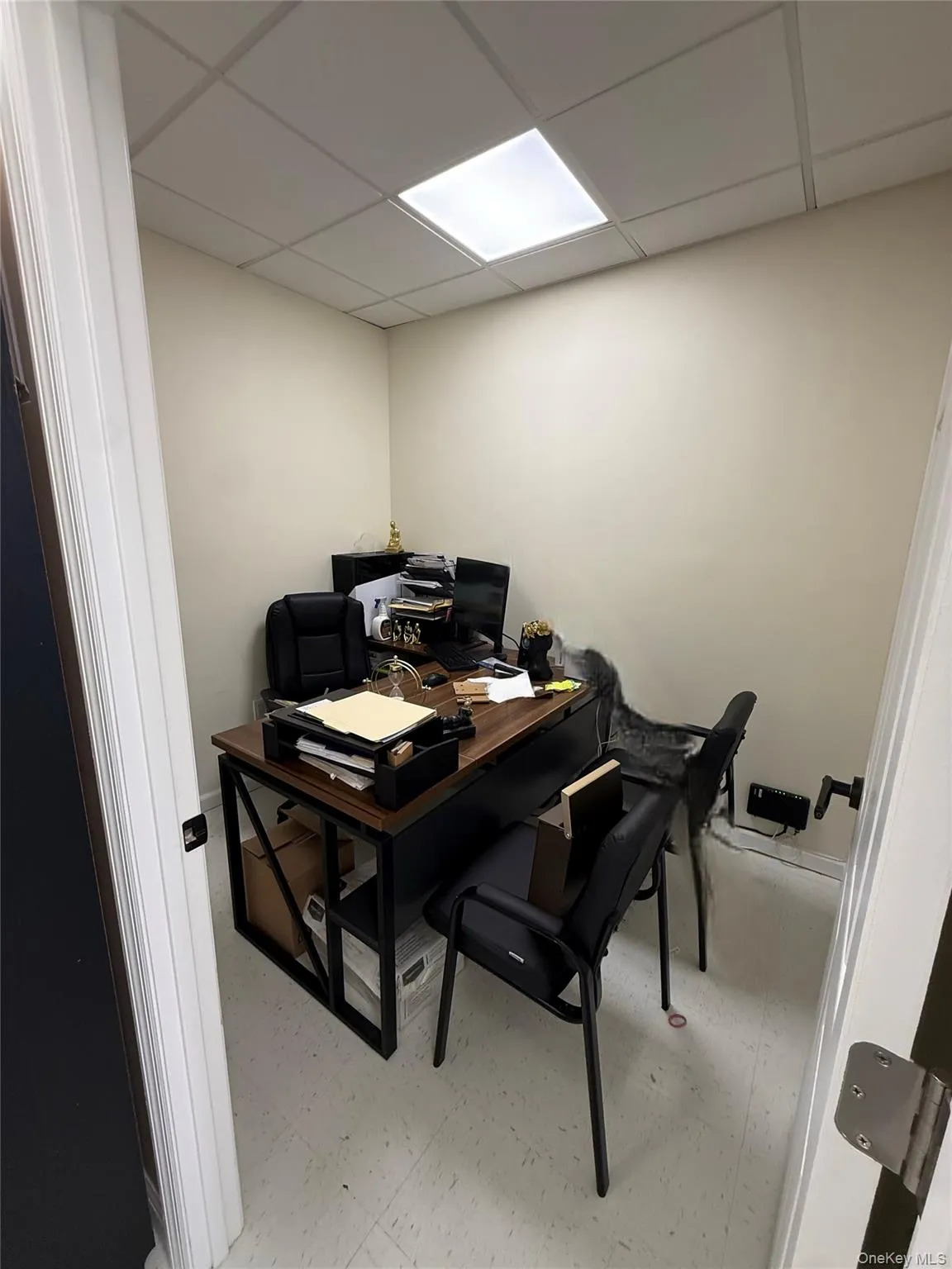 681 Hempstead Turnpike, Hempstead, NY, ,Commercial Lease,For Rent,Hempstead,0,977798 681 Hempstead Turnpike, Hempstead, NY, ,Commercial Lease,For Rent,Hempstead,0,977798