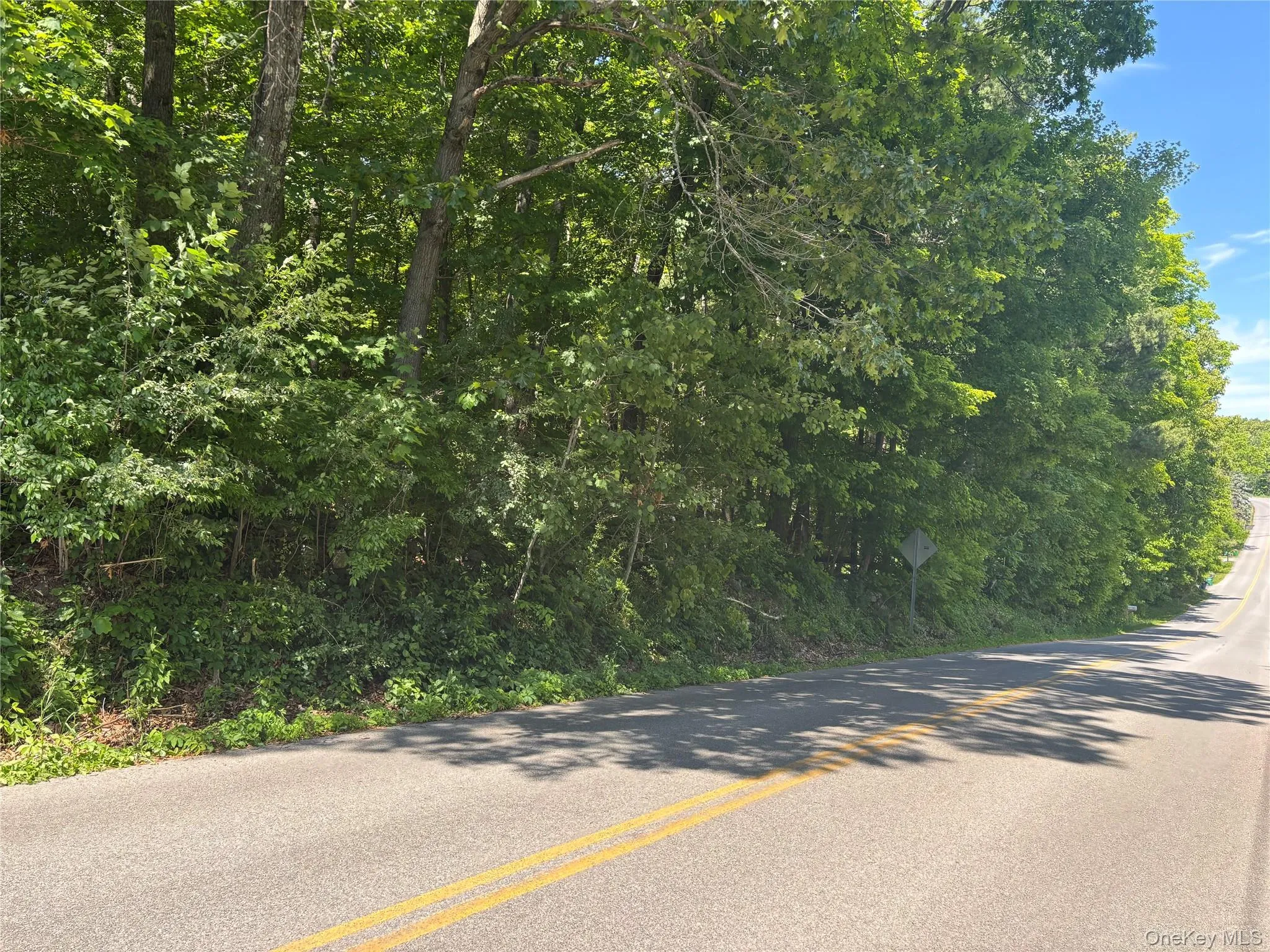 0 Smith Road, La Grange, NY, ,Land,For Rent,Smith,0,977843 0 Smith Road, La Grange, NY, ,Land,For Rent,Smith,0,977843