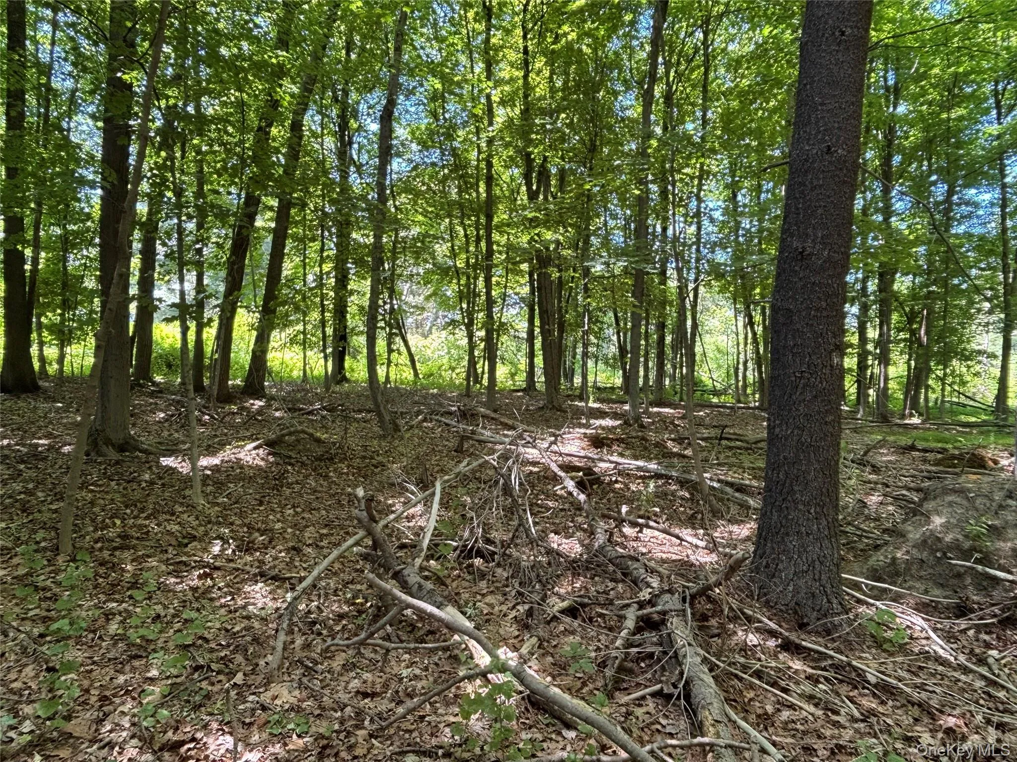 0 Smith Road, La Grange, NY, ,Land,For Rent,Smith,0,977843 0 Smith Road, La Grange, NY, ,Land,For Rent,Smith,0,977843