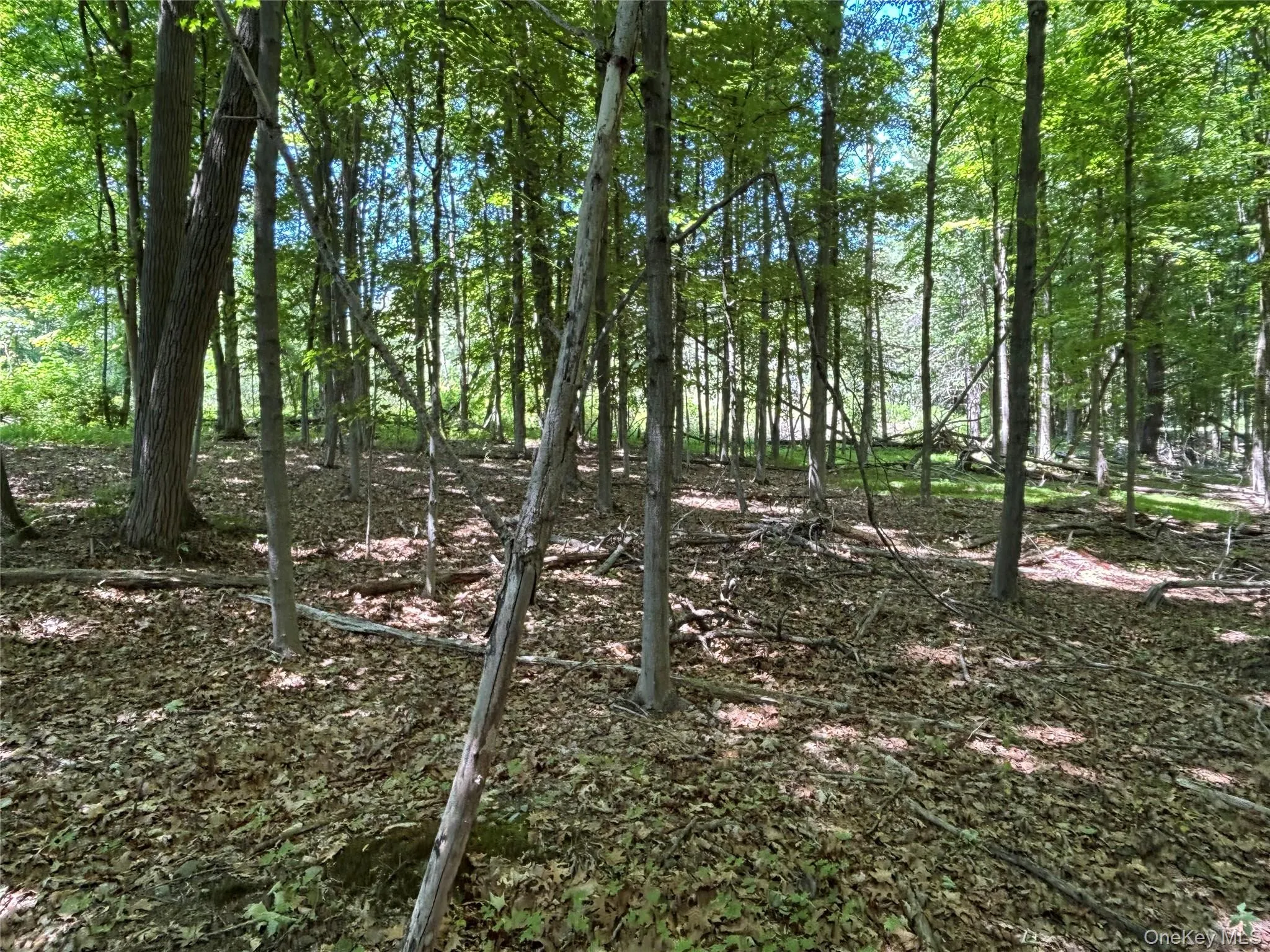 0 Smith Road, La Grange, NY, ,Land,For Rent,Smith,0,977843 0 Smith Road, La Grange, NY, ,Land,For Rent,Smith,0,977843