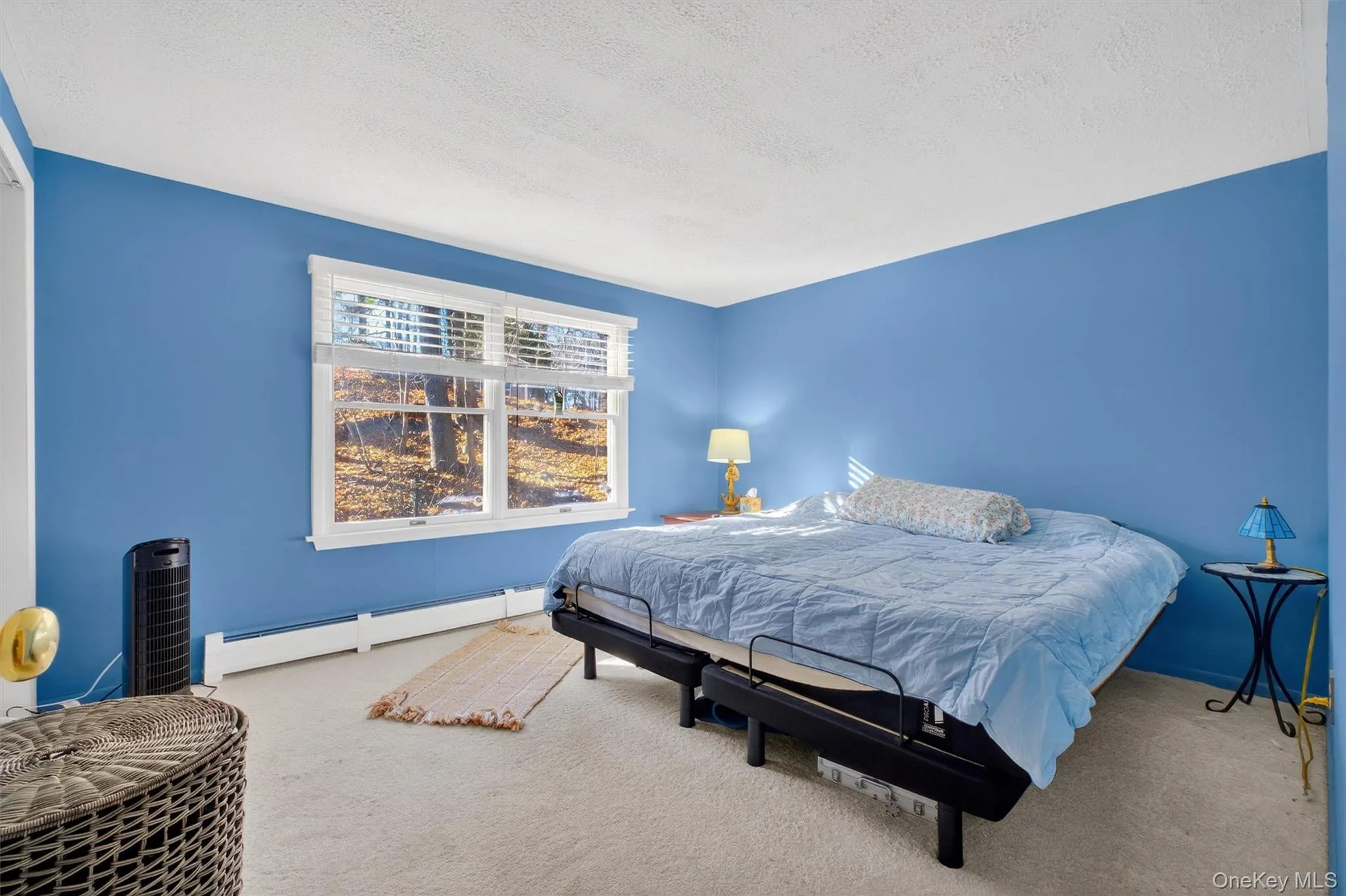Carpeted bedroom featuring baseboard heating and a textured ceiling Carpeted bedroom featuring baseboard heating and a textured ceiling
