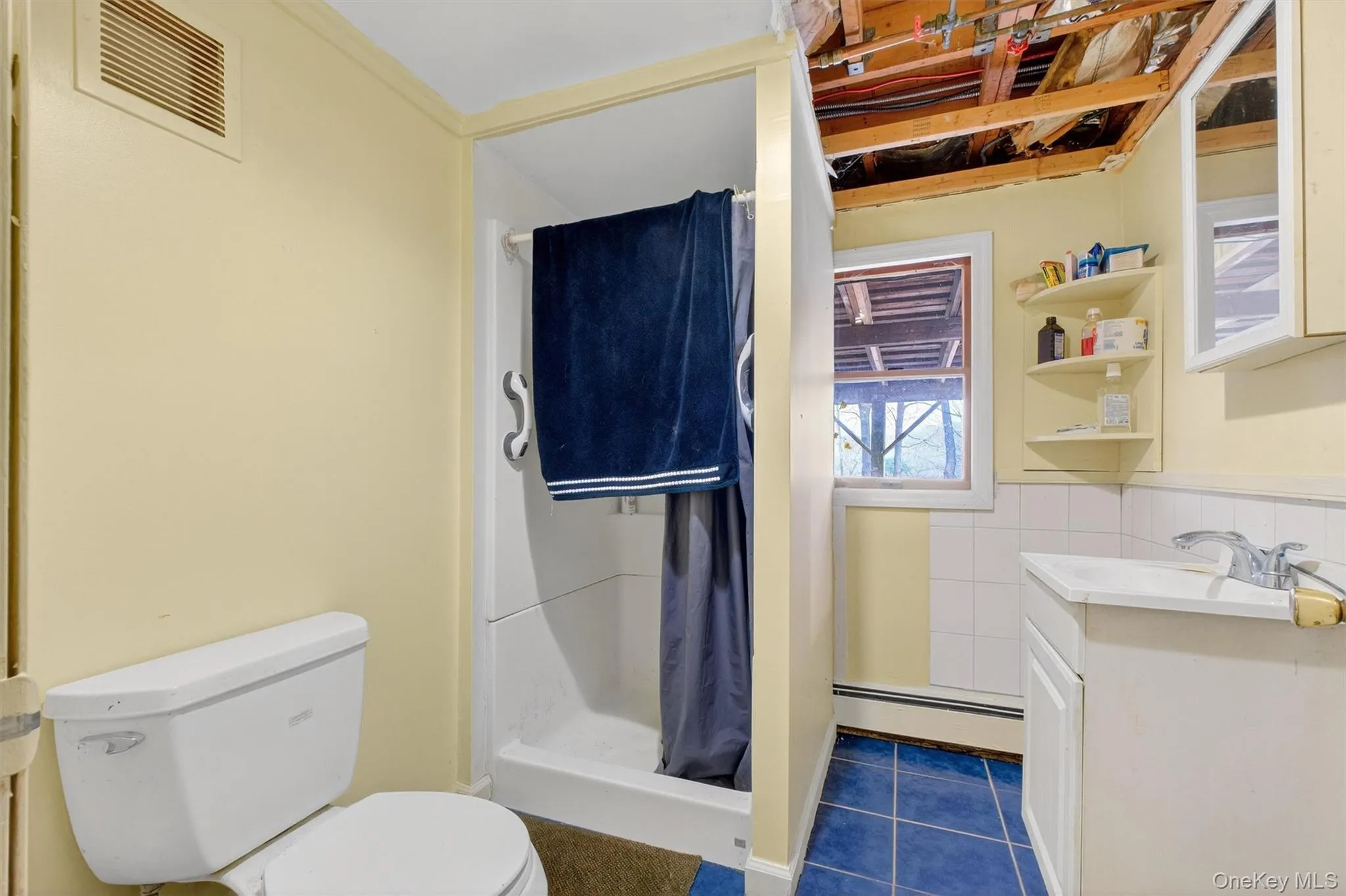 Full bath with vanity, a shower stall, a baseboard radiator, and dark tile patterned flooring Full bath with vanity, a shower stall, a baseboard radiator, and dark tile patterned flooring