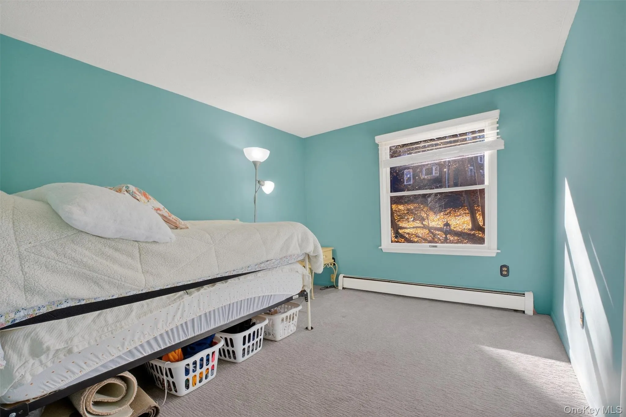 Bedroom featuring carpet flooring and baseboard heating Bedroom featuring carpet flooring and baseboard heating