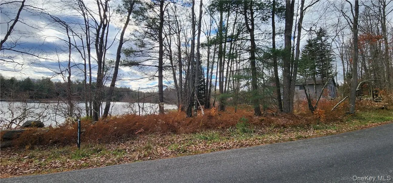 Mongaup Road, Thompson, NY, ,Land,For Rent,Mongaup,0,977951 Mongaup Road, Thompson, NY, ,Land,For Rent,Mongaup,0,977951