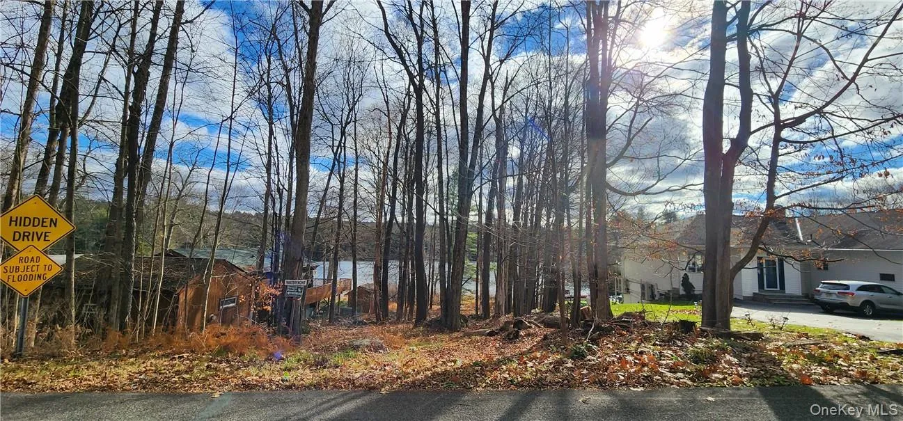 Mongaup Road, Thompson, NY, ,Land,For Rent,Mongaup,0,977951 Mongaup Road, Thompson, NY, ,Land,For Rent,Mongaup,0,977951