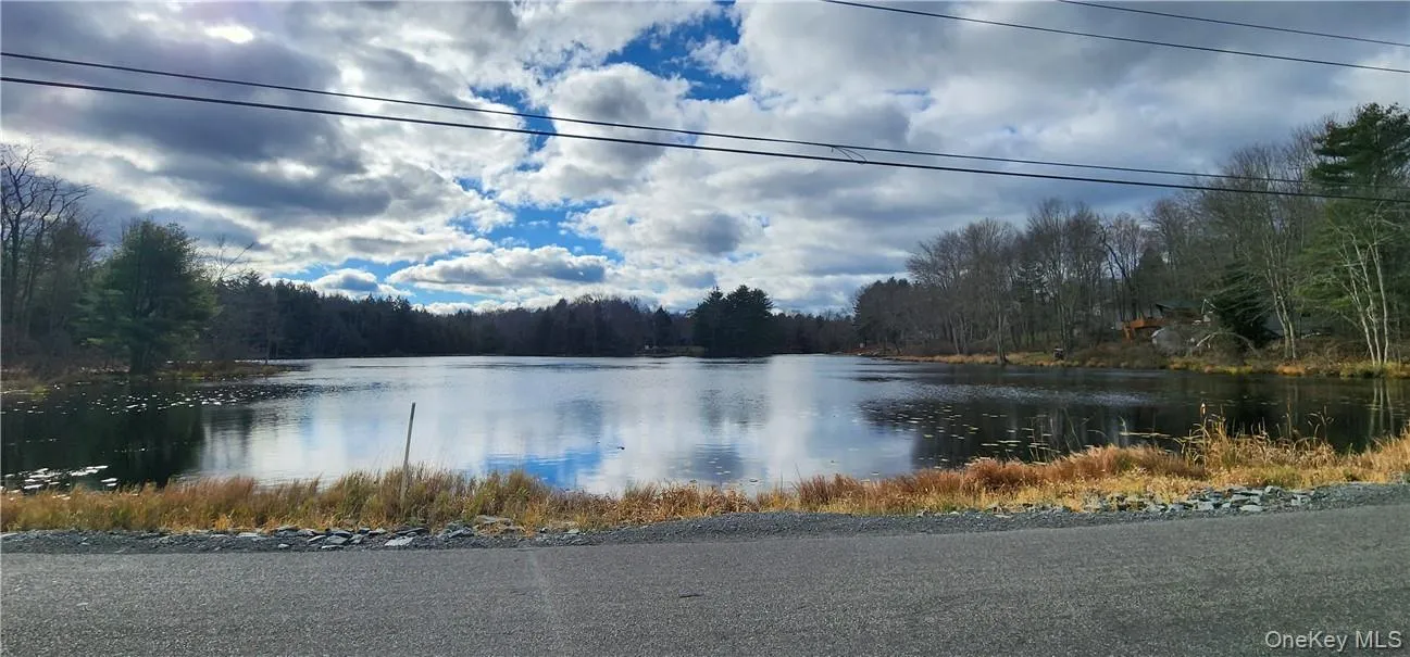 Mongaup Road, Thompson, NY, ,Land,For Rent,Mongaup,0,977951 Mongaup Road, Thompson, NY, ,Land,For Rent,Mongaup,0,977951
