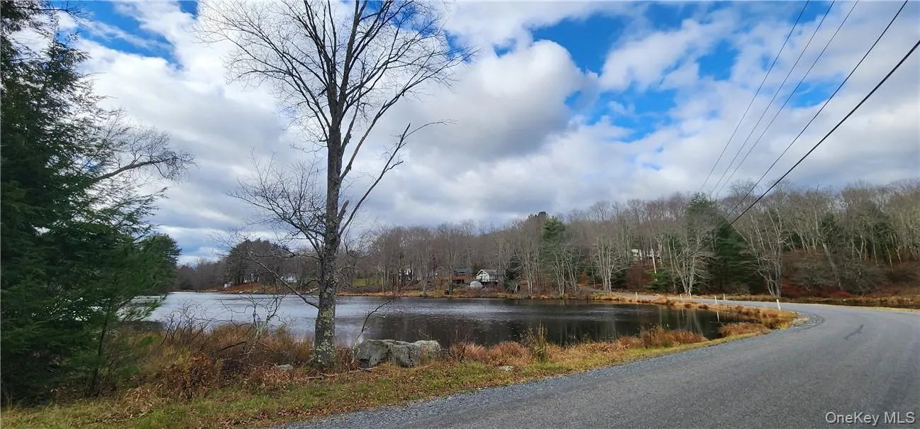 Mongaup Road, Thompson, NY, ,Land,For Rent,Mongaup,0,977951 Mongaup Road, Thompson, NY, ,Land,For Rent,Mongaup,0,977951