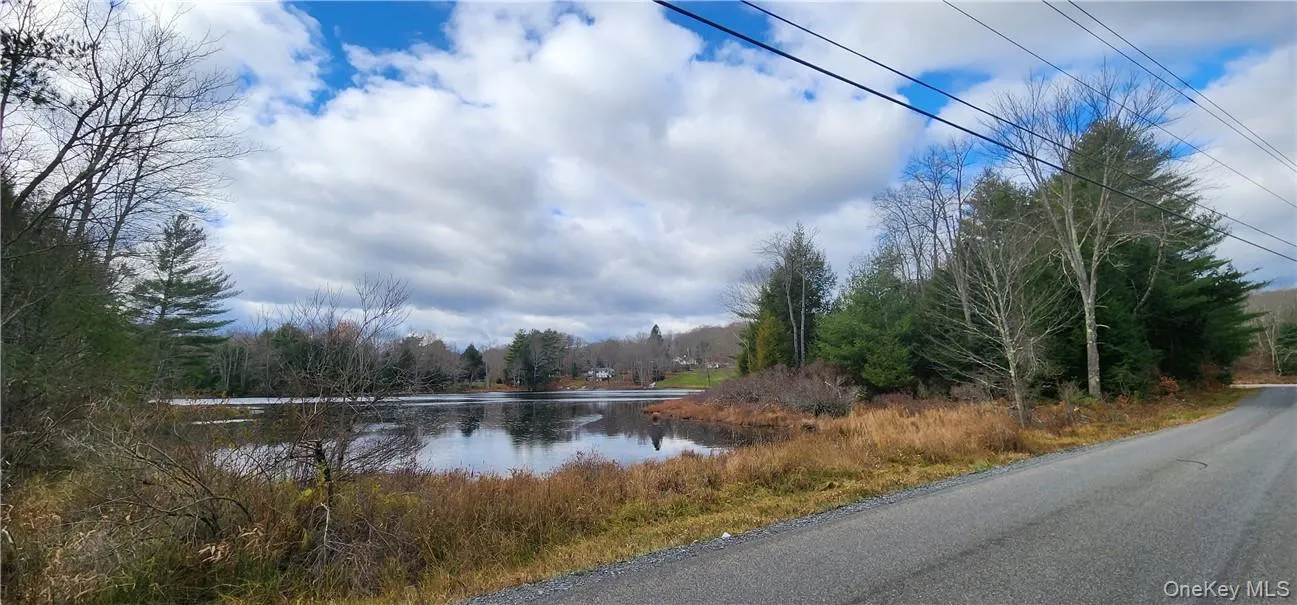 Mongaup Road, Thompson, NY, ,Land,For Rent,Mongaup,0,977951 Mongaup Road, Thompson, NY, ,Land,For Rent,Mongaup,0,977951