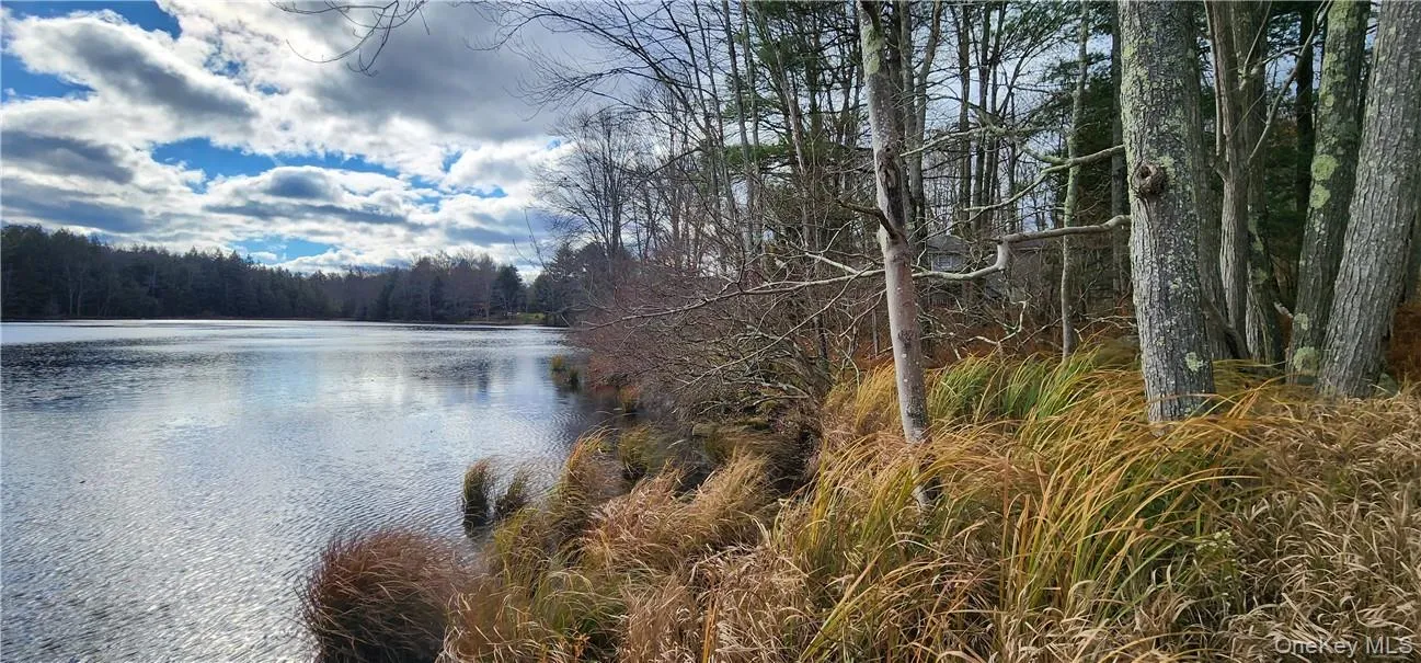 Mongaup Road, Thompson, NY, ,Land,For Rent,Mongaup,0,977951 Mongaup Road, Thompson, NY, ,Land,For Rent,Mongaup,0,977951