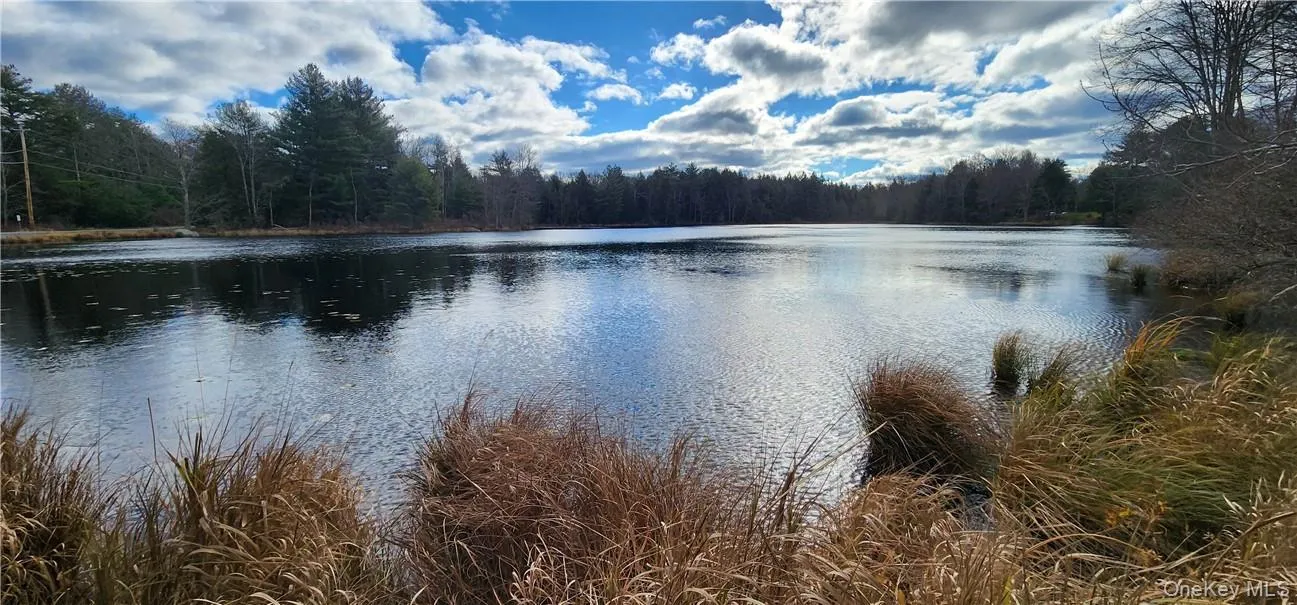 Mongaup Road, Thompson, NY, ,Land,For Rent,Mongaup,0,977951 Mongaup Road, Thompson, NY, ,Land,For Rent,Mongaup,0,977951