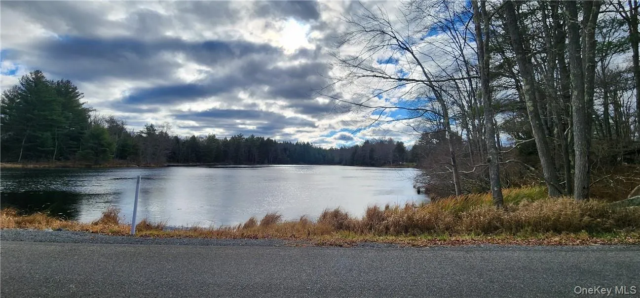 Mongaup Road, Thompson, NY, ,Land,For Rent,Mongaup,0,977951 Mongaup Road, Thompson, NY, ,Land,For Rent,Mongaup,0,977951