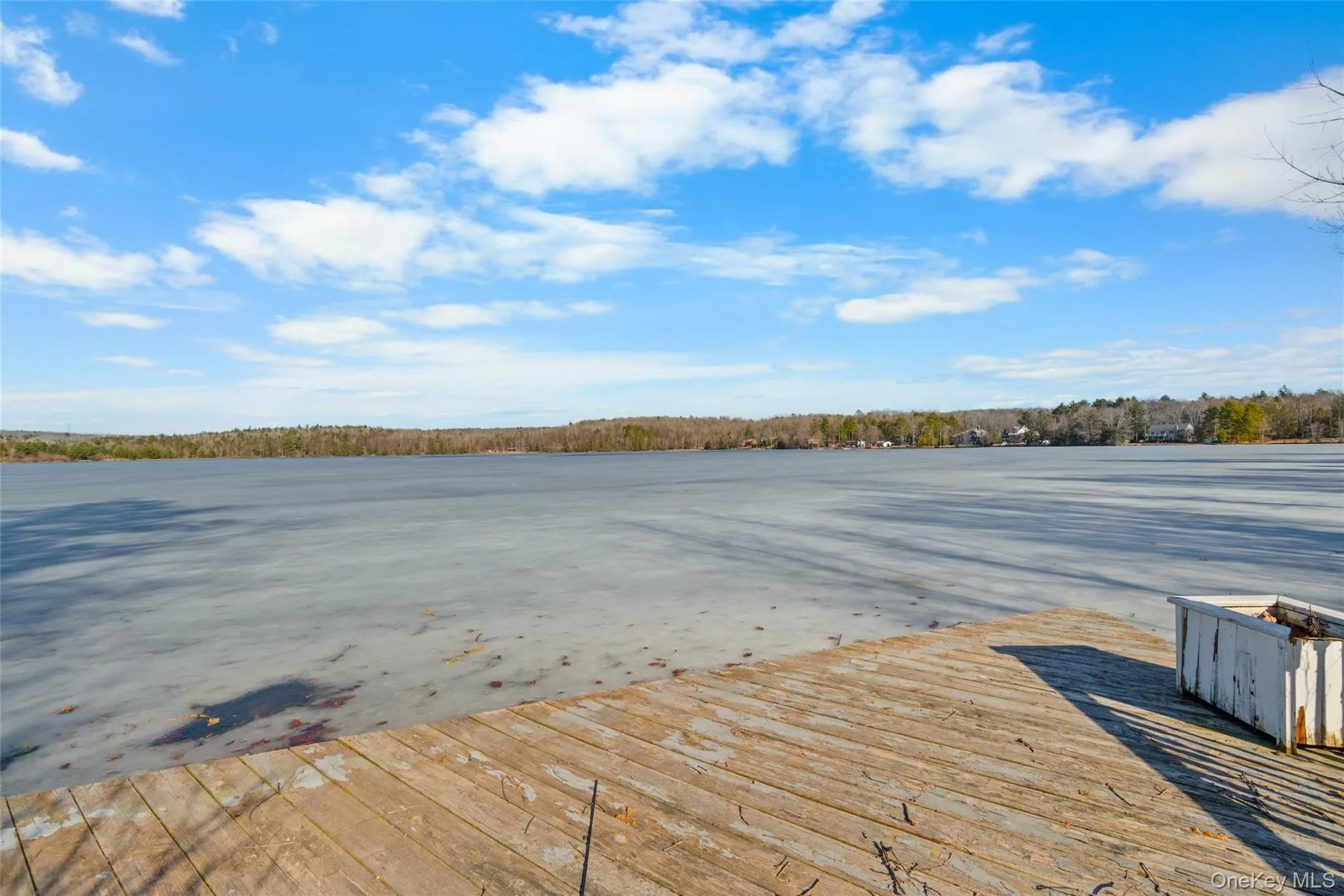 Dock area with a forest view Dock area with a forest view