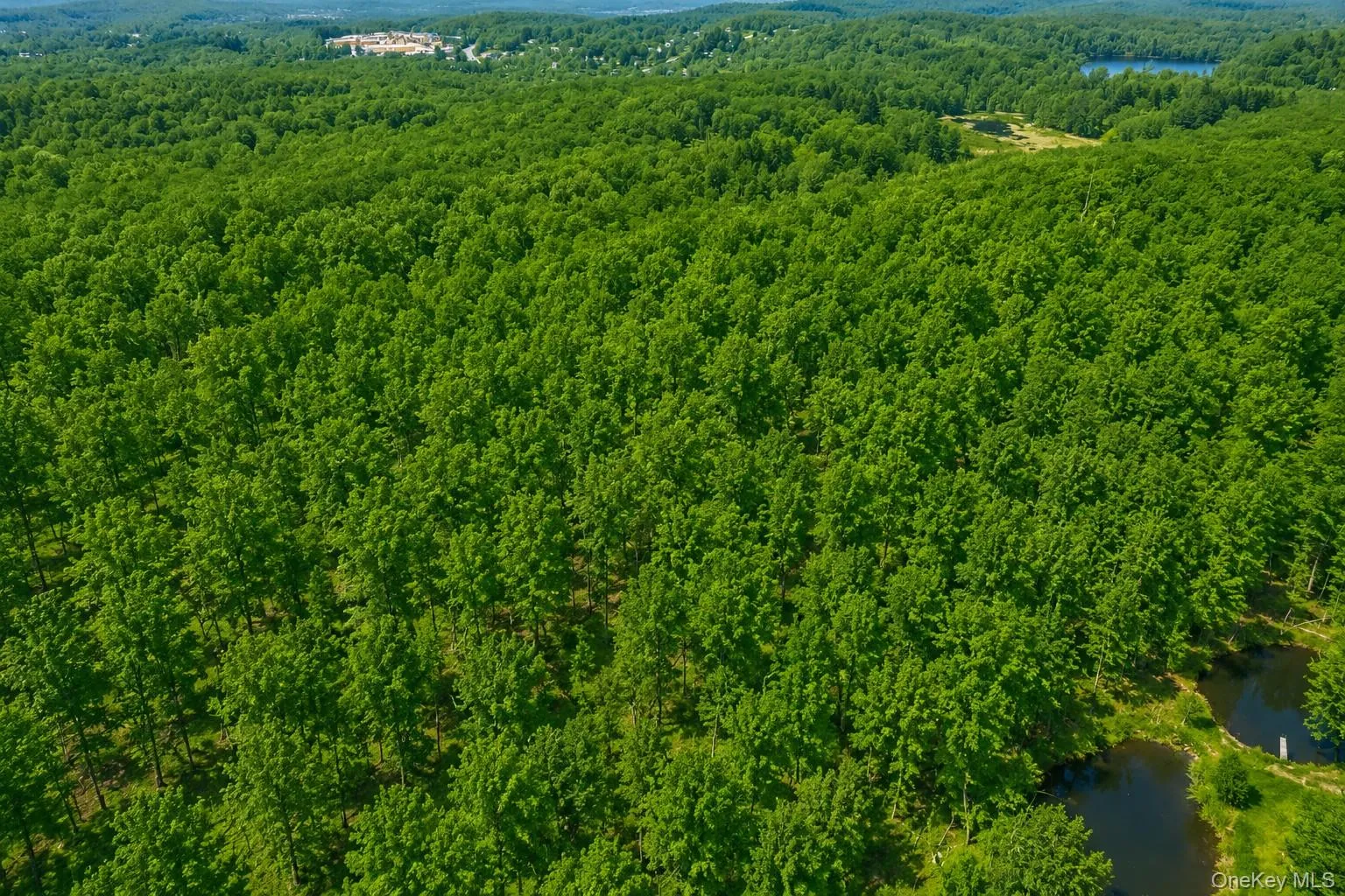 40 Meads Lane, East Fishkill, NY, ,Land,For Rent,Meads,0,977979 40 Meads Lane, East Fishkill, NY, ,Land,For Rent,Meads,0,977979