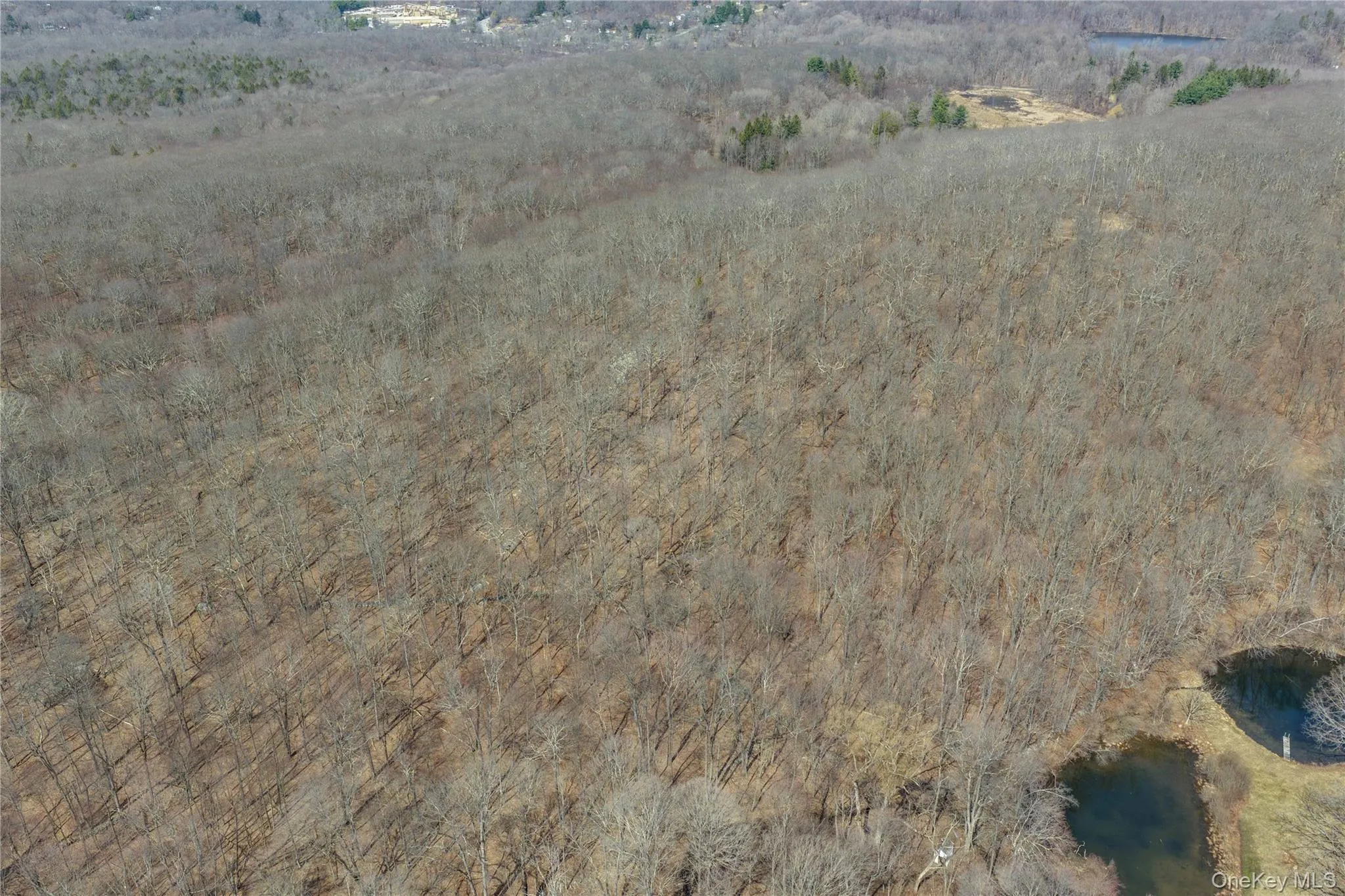 40 Meads Lane, East Fishkill, NY, ,Land,For Rent,Meads,0,977979 40 Meads Lane, East Fishkill, NY, ,Land,For Rent,Meads,0,977979