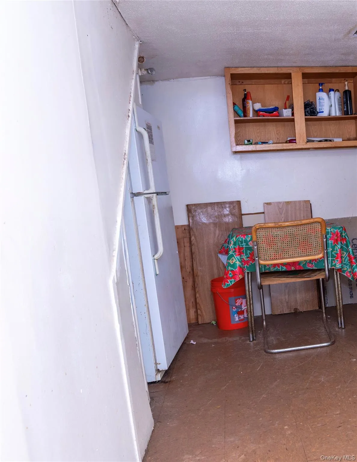 Basement with freestanding refrigerator Basement with freestanding refrigerator