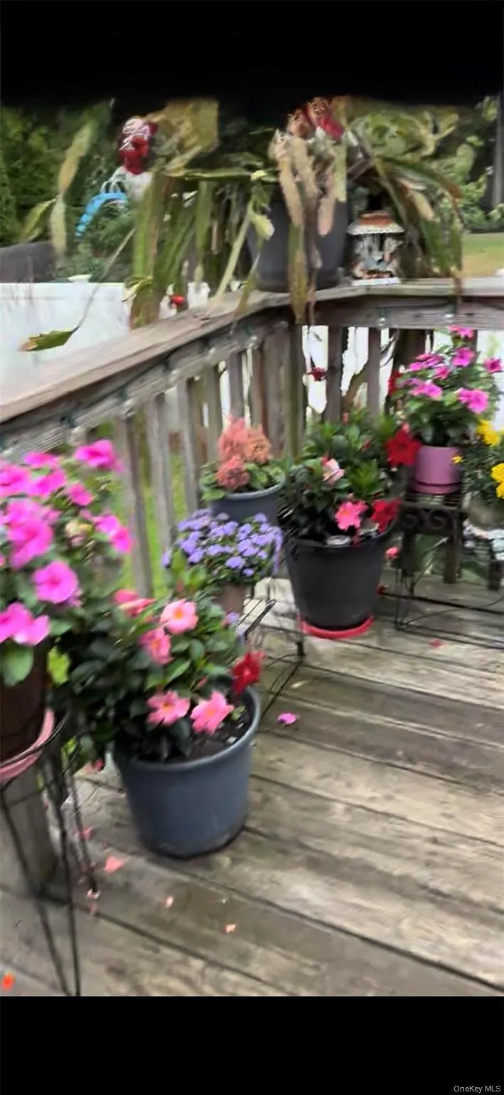 171 Shelter Road, Islip, NY, 5 Bedrooms Bedrooms, 10 Rooms Rooms,2 BathroomsBathrooms,Residential,For Rent,Shelter,0,977987 171 Shelter Road, Islip, NY, 5 Bedrooms Bedrooms, 10 Rooms Rooms,2 BathroomsBathrooms,Residential,For Rent,Shelter,0,977987