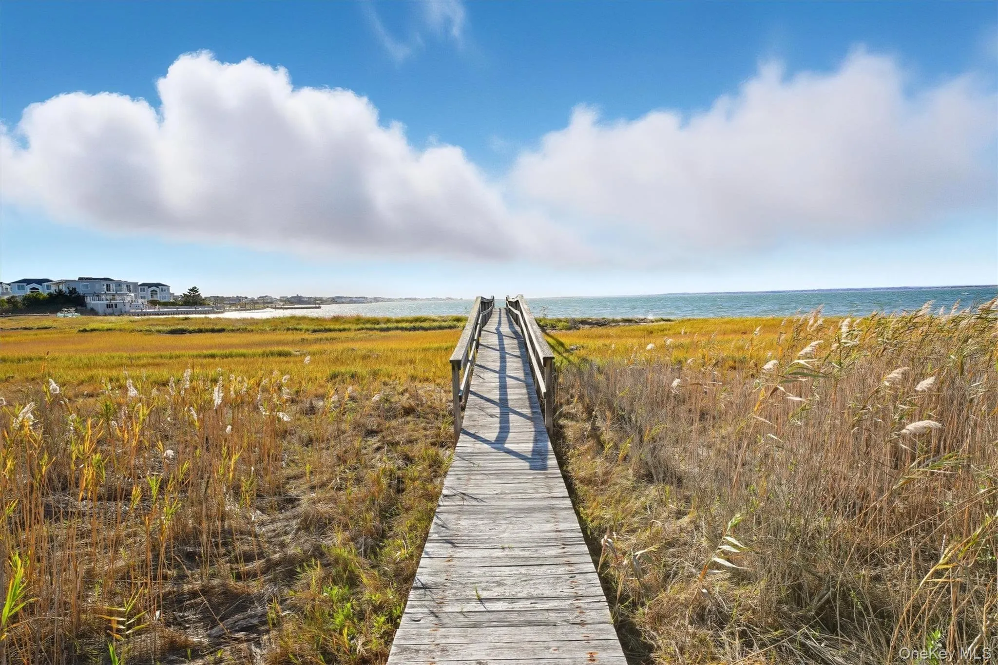556 Dune Road, Southampton, NY, 4 Bedrooms Bedrooms, 7 Rooms Rooms,3 BathroomsBathrooms,Residential,For Rent,Dune,0,978009 556 Dune Road, Southampton, NY, 4 Bedrooms Bedrooms, 7 Rooms Rooms,3 BathroomsBathrooms,Residential,For Rent,Dune,0,978009