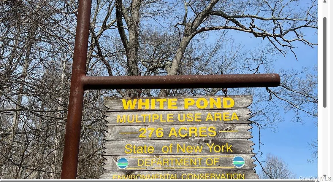 White Pond Park White Pond Park