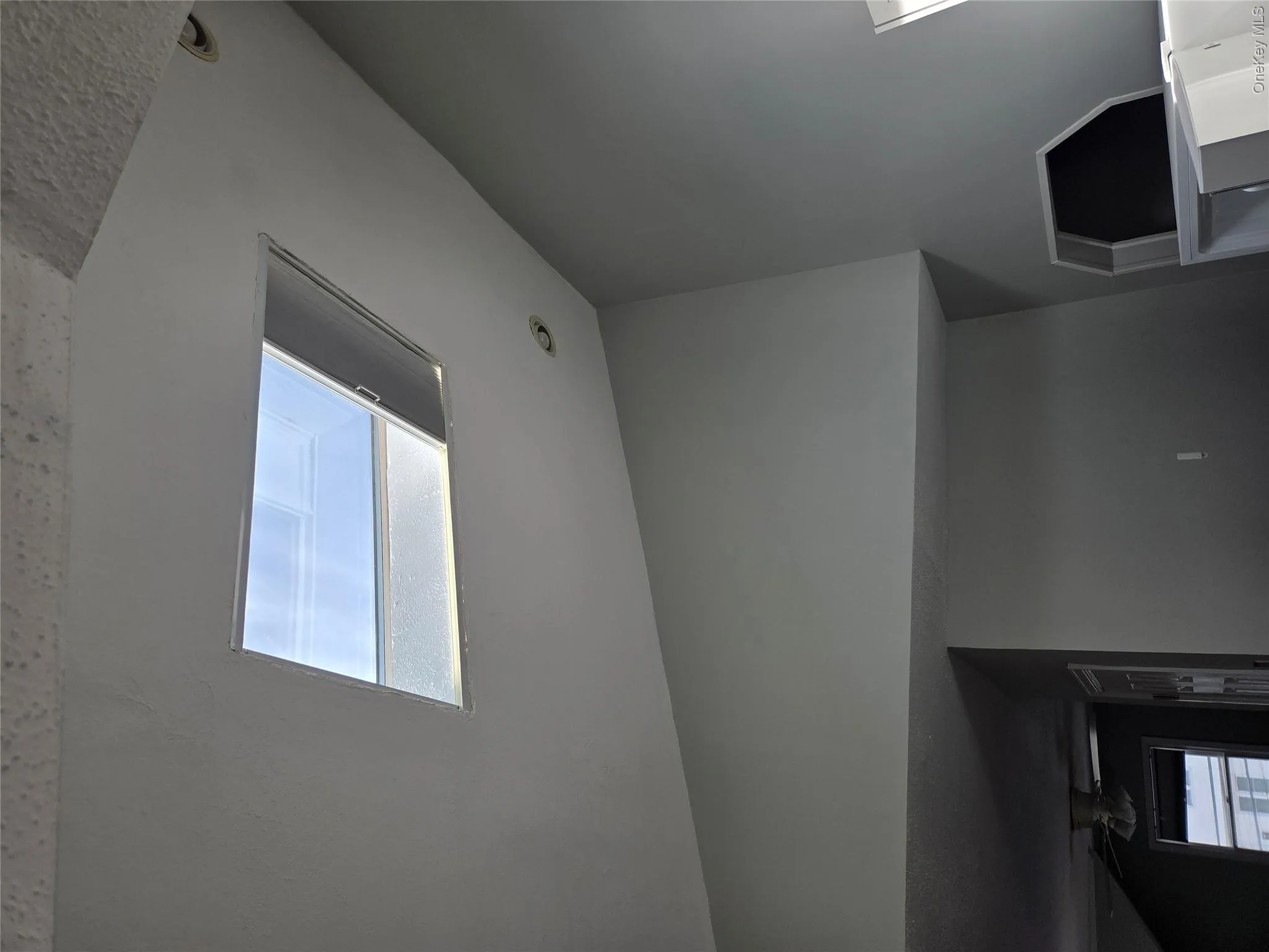 58 Juniper Road, North Hempstead, NY, 2 Bedrooms Bedrooms, 4 Rooms Rooms,1 BathroomBathrooms,Residential Lease,For Rent,Juniper,0,978359 58 Juniper Road, North Hempstead, NY, 2 Bedrooms Bedrooms, 4 Rooms Rooms,1 BathroomBathrooms,Residential Lease,For Rent,Juniper,0,978359