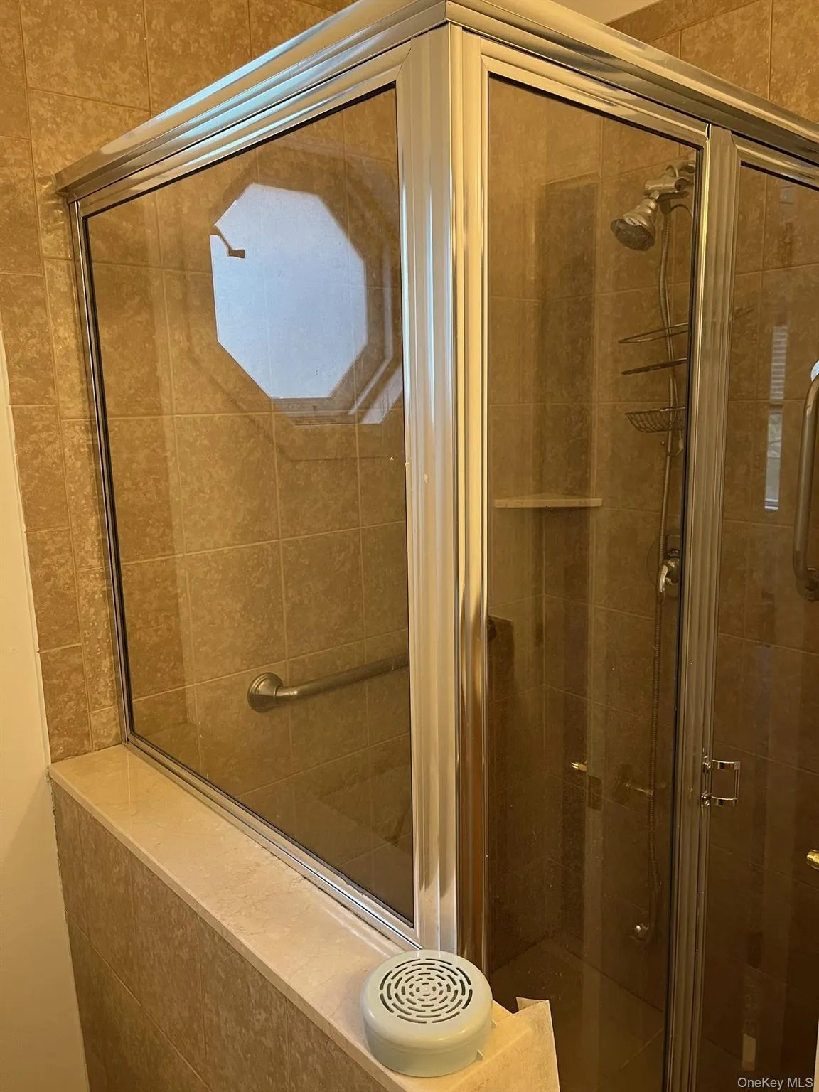 45 Autumn Drive, Oyster Bay, NY, 2 Bedrooms Bedrooms, 4 Rooms Rooms,2 BathroomsBathrooms,Residential Lease,For Rent,Autumn,0,978437 45 Autumn Drive, Oyster Bay, NY, 2 Bedrooms Bedrooms, 4 Rooms Rooms,2 BathroomsBathrooms,Residential Lease,For Rent,Autumn,0,978437