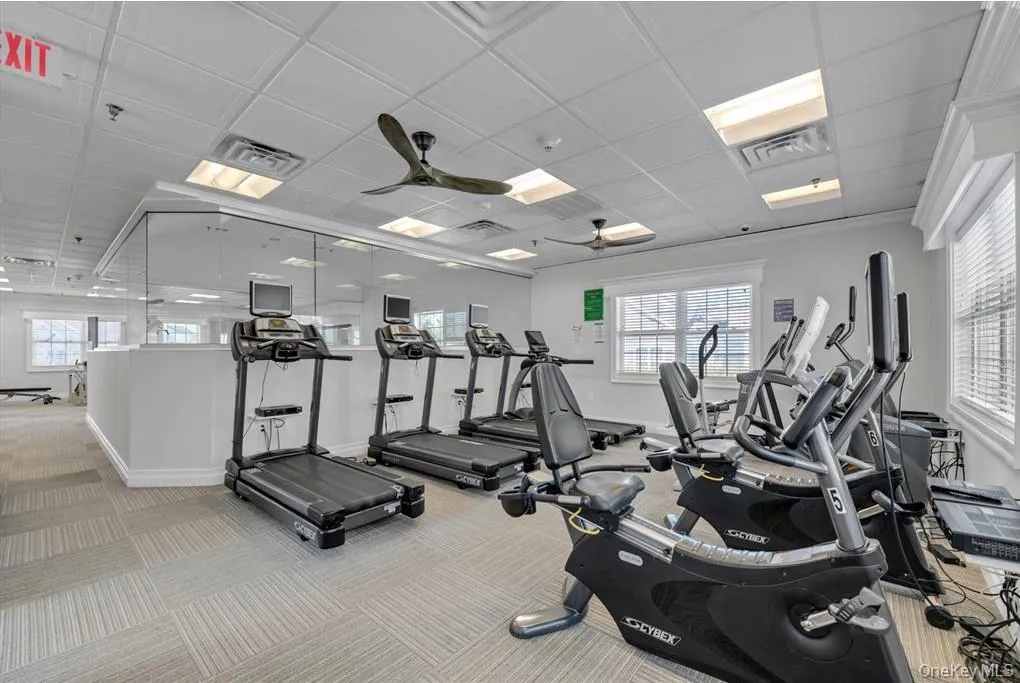 45 Autumn Drive, Oyster Bay, NY, 2 Bedrooms Bedrooms, 4 Rooms Rooms,2 BathroomsBathrooms,Residential Lease,For Rent,Autumn,0,978437 45 Autumn Drive, Oyster Bay, NY, 2 Bedrooms Bedrooms, 4 Rooms Rooms,2 BathroomsBathrooms,Residential Lease,For Rent,Autumn,0,978437