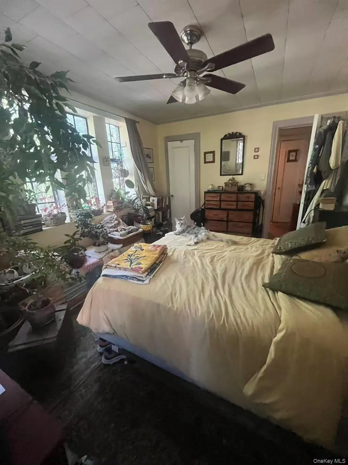 116 Pinehurst Avenue, New York, NY, 1 Bedroom Bedrooms, 7 Rooms Rooms,1 BathroomBathrooms,Residential,For Rent,Pinehurst,0,978454 116 Pinehurst Avenue, New York, NY, 1 Bedroom Bedrooms, 7 Rooms Rooms,1 BathroomBathrooms,Residential,For Rent,Pinehurst,0,978454