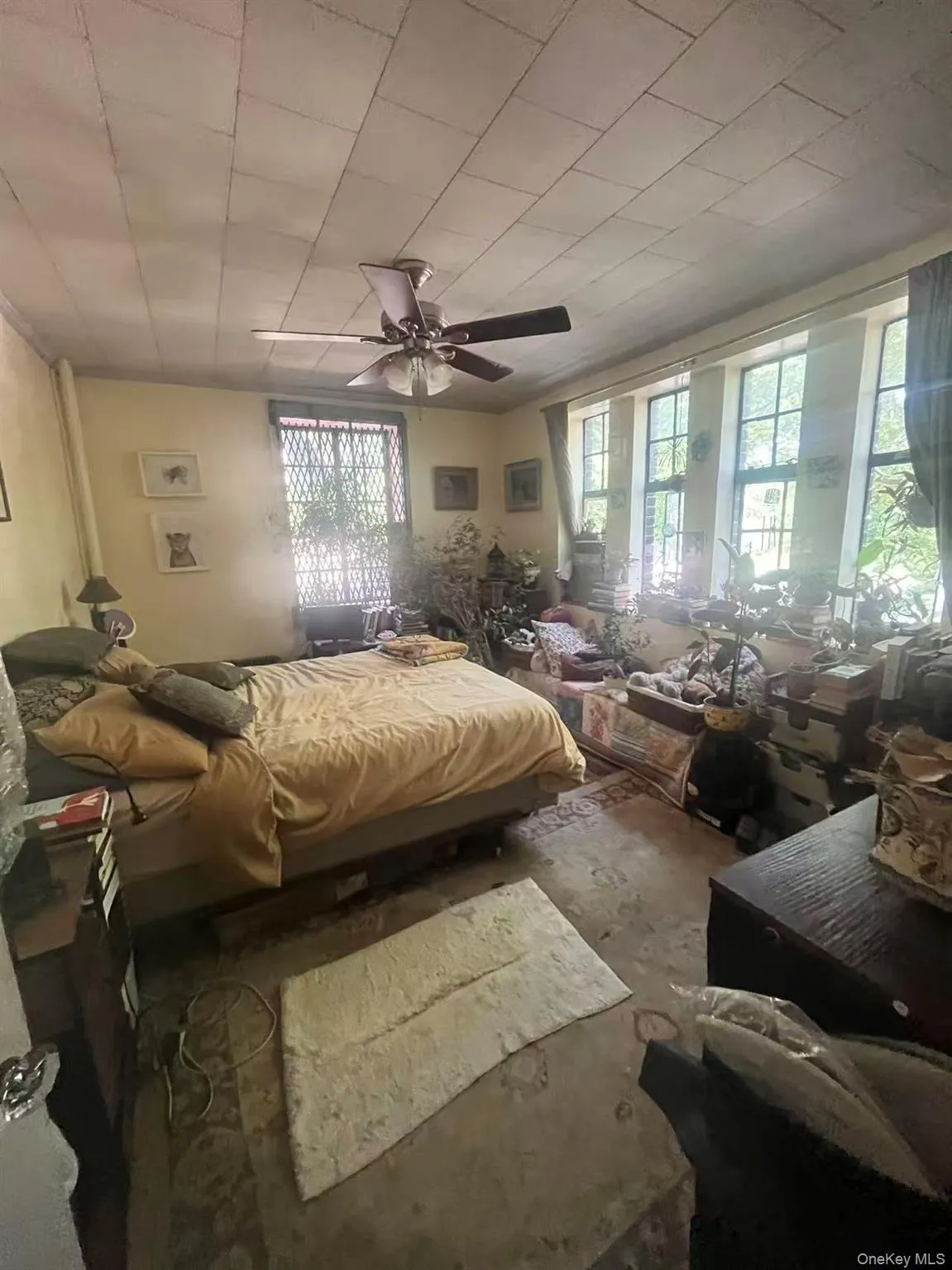 116 Pinehurst Avenue, New York, NY, 1 Bedroom Bedrooms, 7 Rooms Rooms,1 BathroomBathrooms,Residential,For Rent,Pinehurst,0,978454 116 Pinehurst Avenue, New York, NY, 1 Bedroom Bedrooms, 7 Rooms Rooms,1 BathroomBathrooms,Residential,For Rent,Pinehurst,0,978454