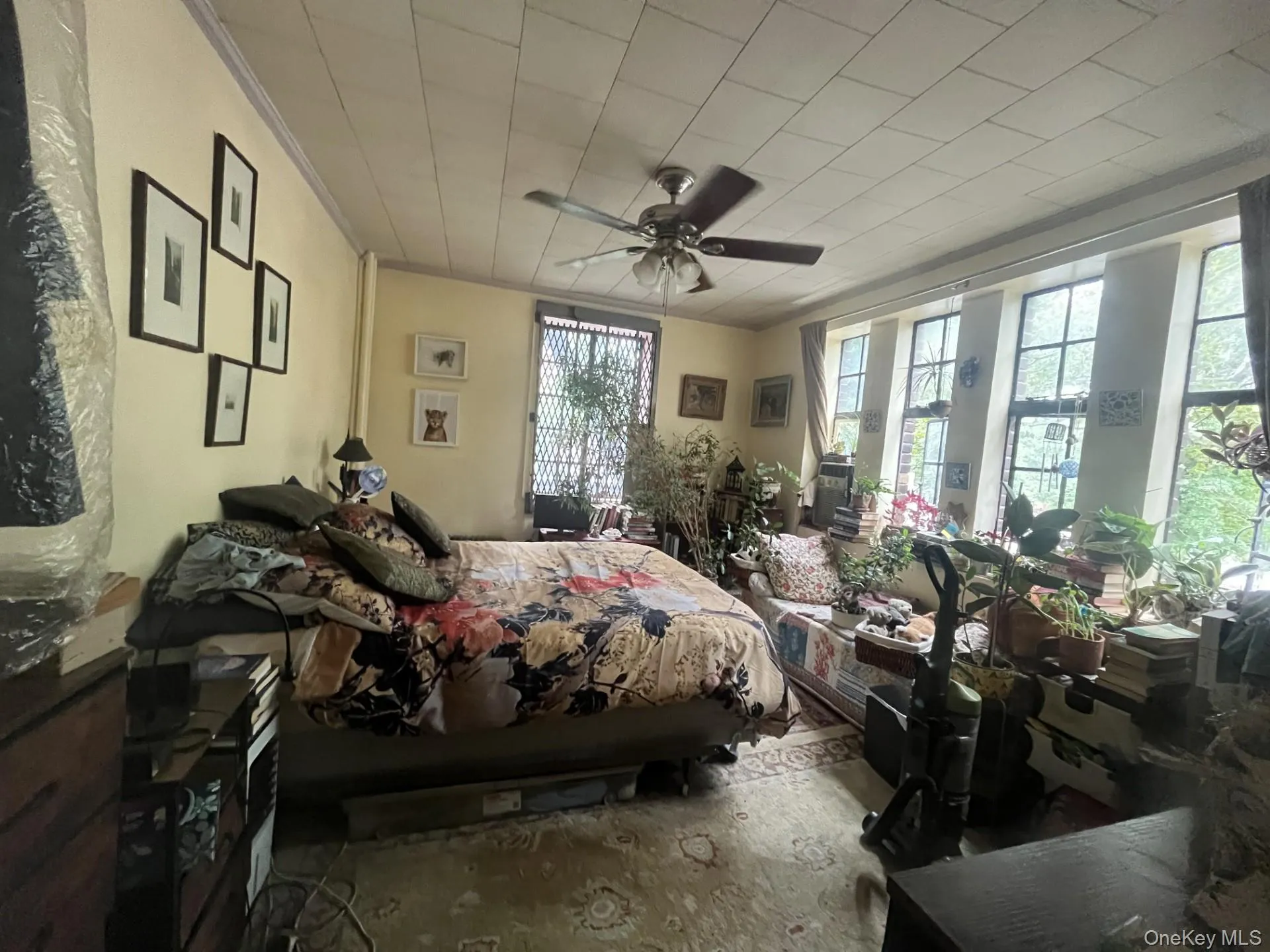 116 Pinehurst Avenue, New York, NY, 1 Bedroom Bedrooms, 7 Rooms Rooms,1 BathroomBathrooms,Residential,For Rent,Pinehurst,0,978454 116 Pinehurst Avenue, New York, NY, 1 Bedroom Bedrooms, 7 Rooms Rooms,1 BathroomBathrooms,Residential,For Rent,Pinehurst,0,978454