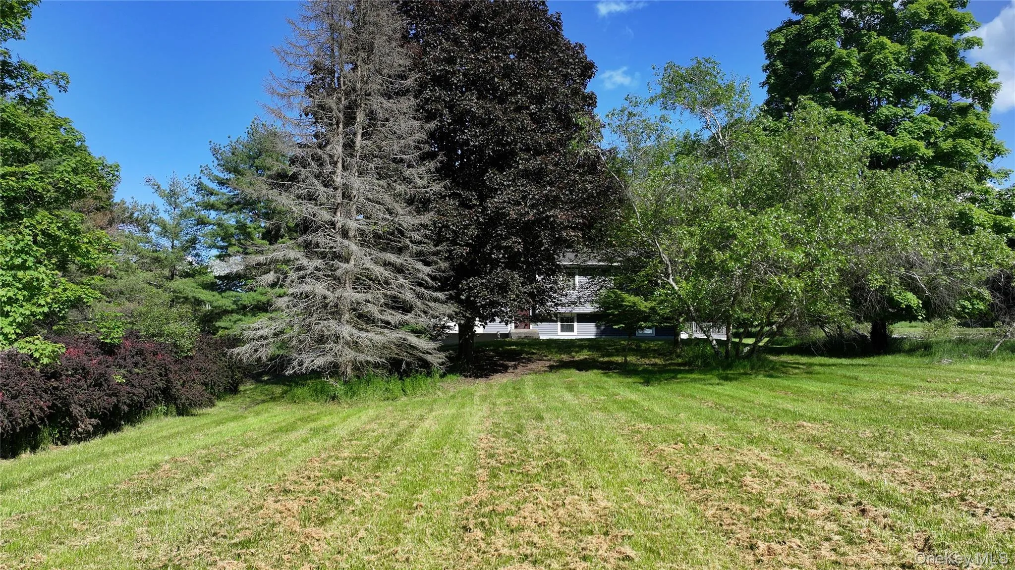 215 Prospect Road, Blooming Grove, NY, 4 Bedrooms Bedrooms, 7 Rooms Rooms,3 BathroomsBathrooms,Residential,For Rent,Prospect,0,978536 215 Prospect Road, Blooming Grove, NY, 4 Bedrooms Bedrooms, 7 Rooms Rooms,3 BathroomsBathrooms,Residential,For Rent,Prospect,0,978536