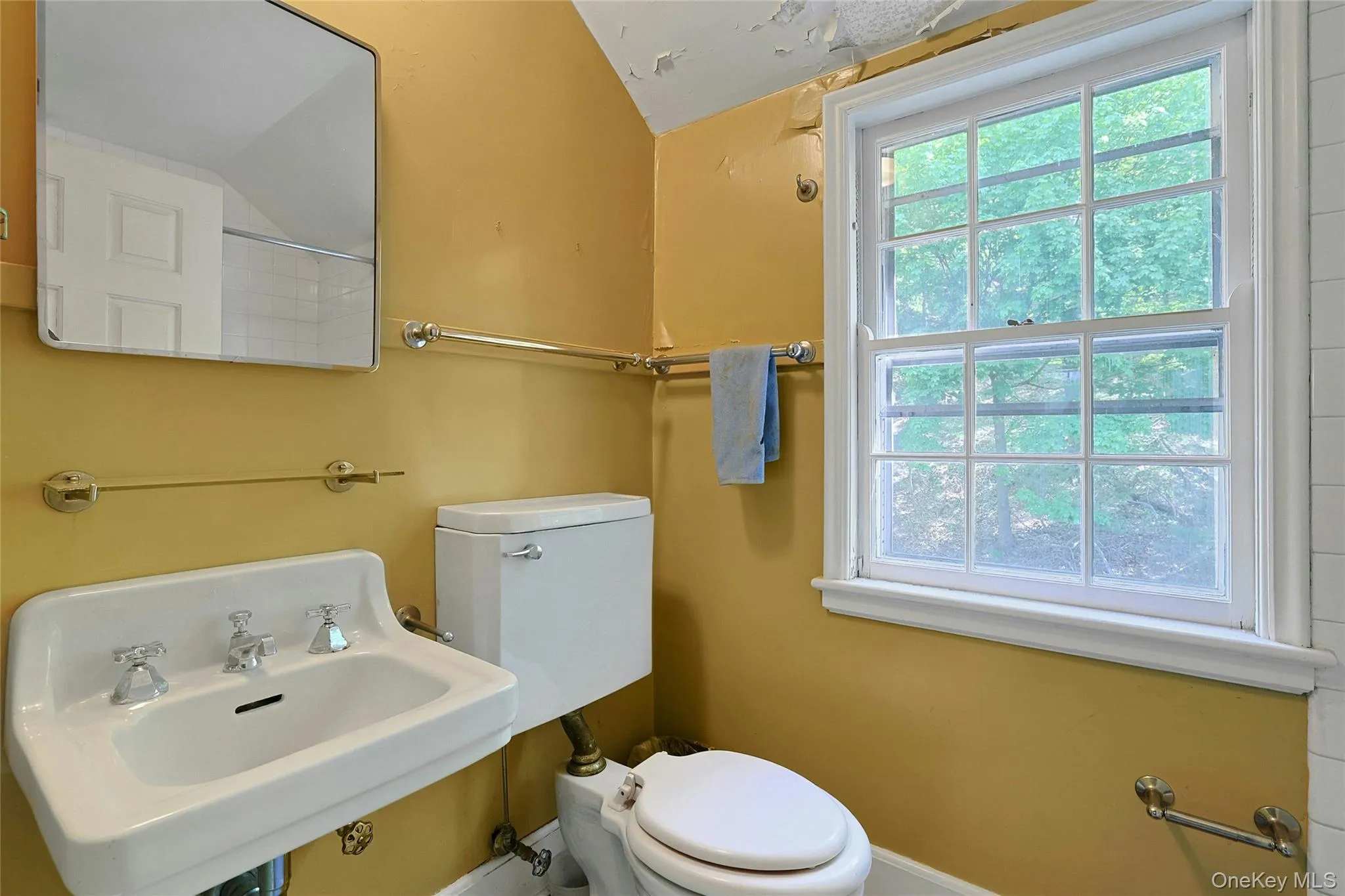 982 Bradley Parkway, Orangetown, NY, 5 Bedrooms Bedrooms, 13 Rooms Rooms,3 BathroomsBathrooms,Residential,For Rent,Bradley,0,978569 982 Bradley Parkway, Orangetown, NY, 5 Bedrooms Bedrooms, 13 Rooms Rooms,3 BathroomsBathrooms,Residential,For Rent,Bradley,0,978569