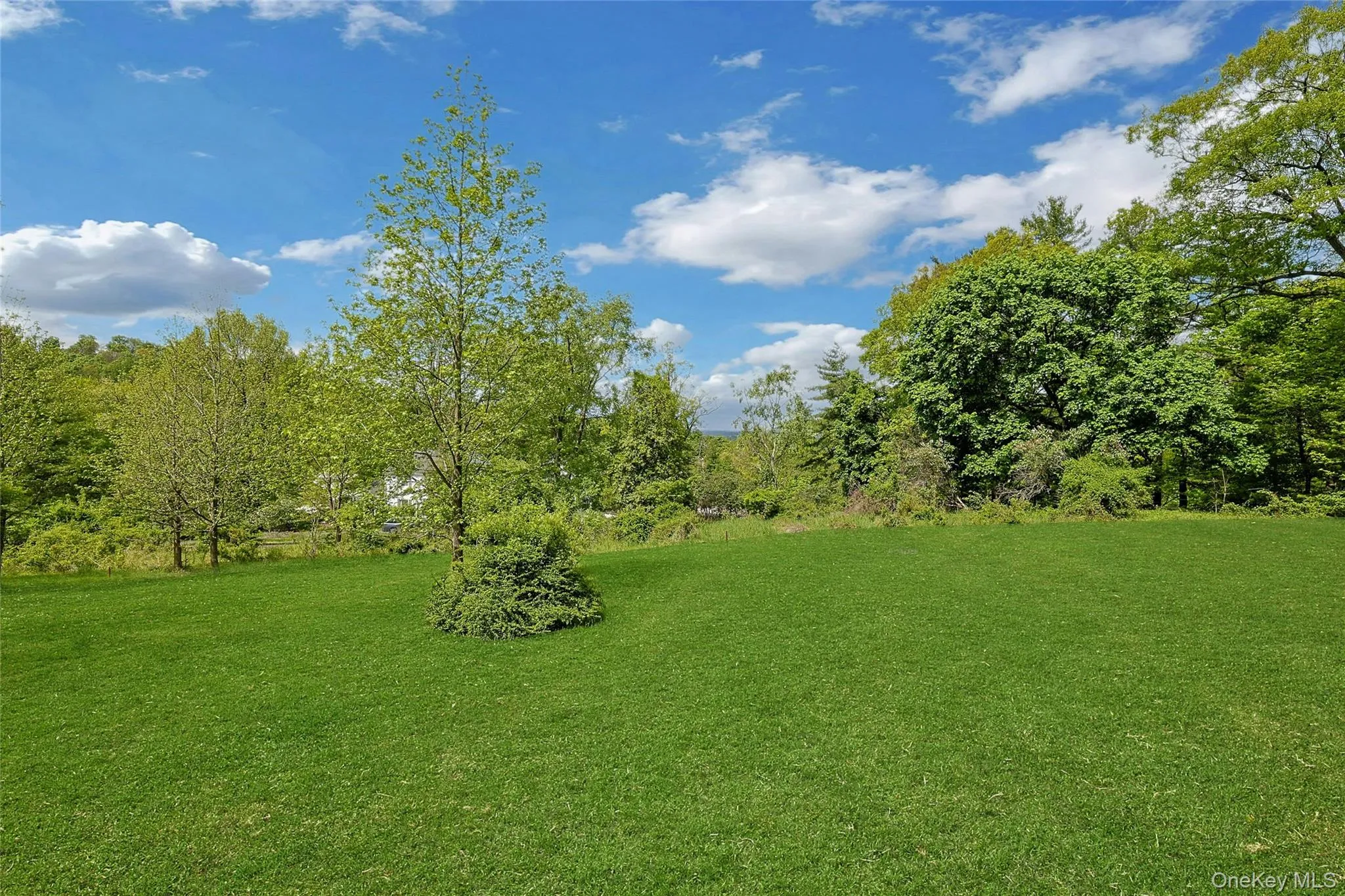 982 Bradley Parkway, Orangetown, NY, 5 Bedrooms Bedrooms, 13 Rooms Rooms,3 BathroomsBathrooms,Residential,For Rent,Bradley,0,978569 982 Bradley Parkway, Orangetown, NY, 5 Bedrooms Bedrooms, 13 Rooms Rooms,3 BathroomsBathrooms,Residential,For Rent,Bradley,0,978569