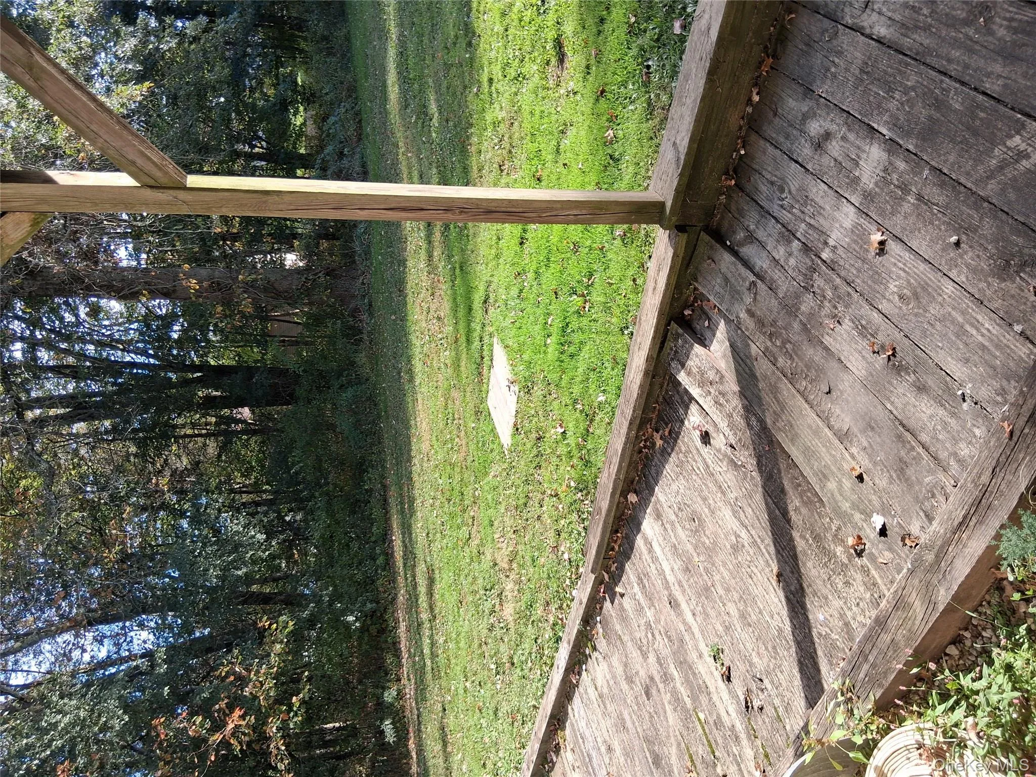 Patio and back yard Patio and back yard