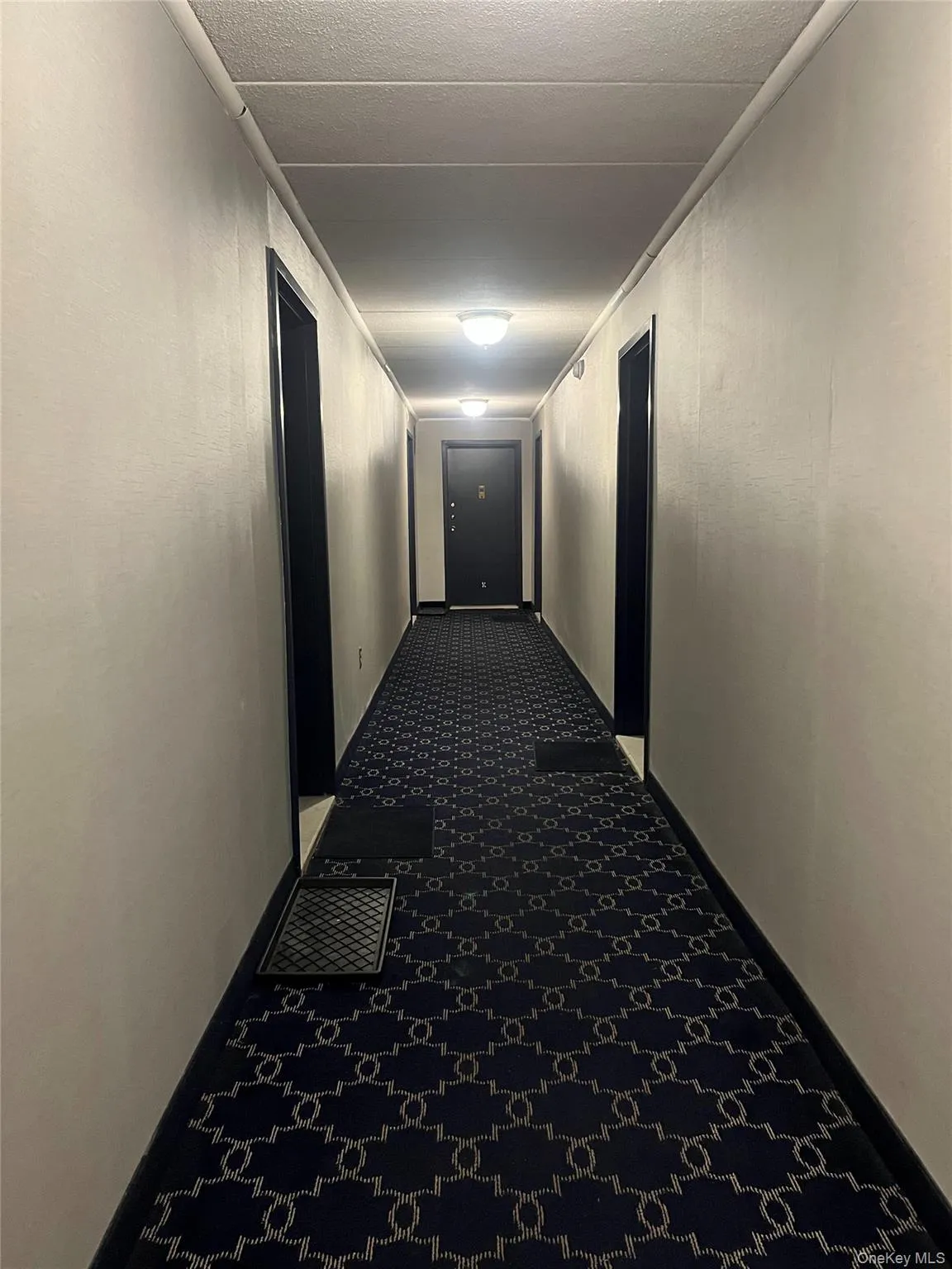 666 Pelham Road, New Rochelle, NY, 1 Bedroom Bedrooms, 3 Rooms Rooms,1 BathroomBathrooms,Residential Lease,For Rent,Pelham,0,978742 666 Pelham Road, New Rochelle, NY, 1 Bedroom Bedrooms, 3 Rooms Rooms,1 BathroomBathrooms,Residential Lease,For Rent,Pelham,0,978742