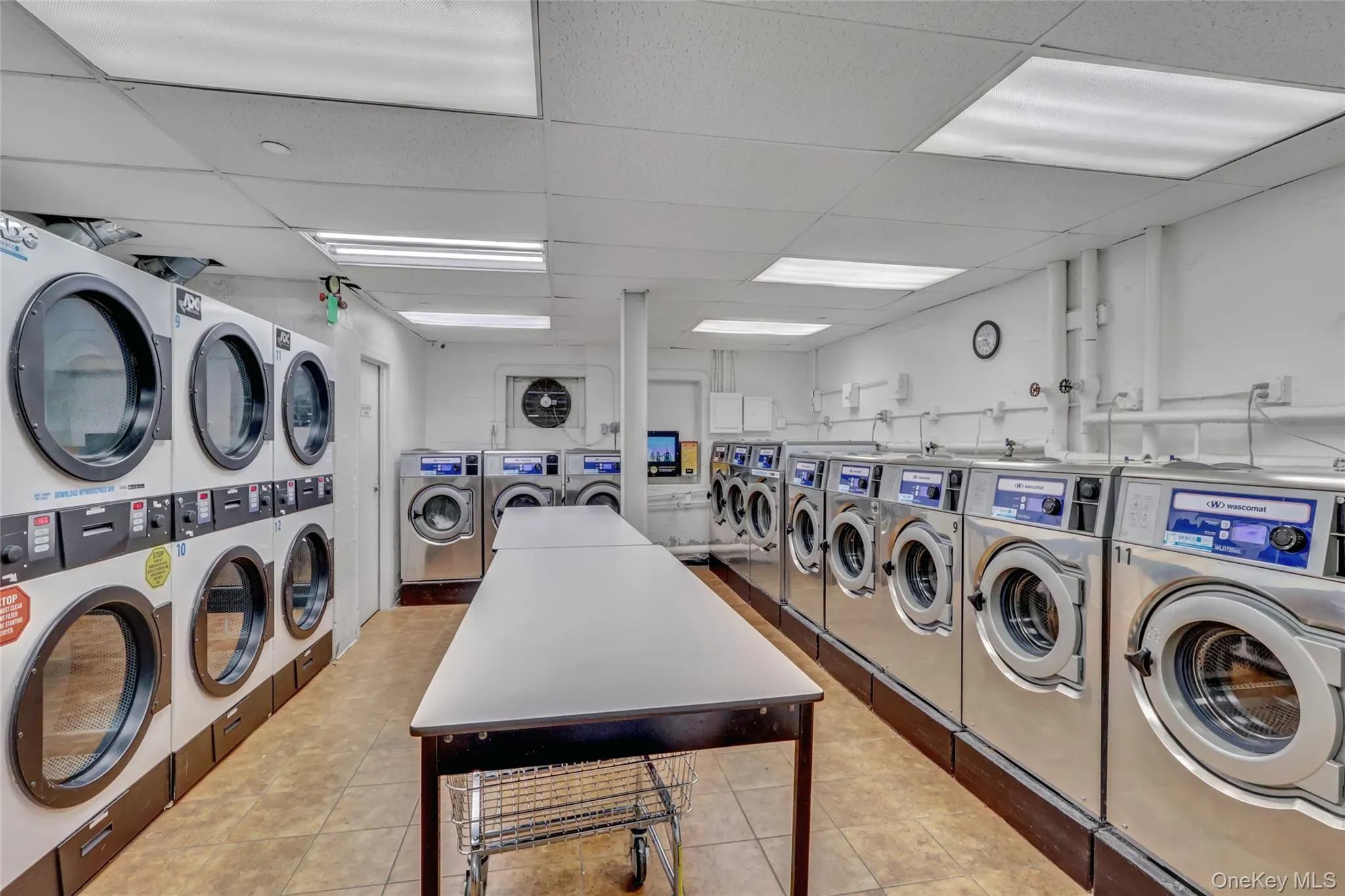 20 Wendell Street, Hempstead, NY, 1 Bedroom Bedrooms, 3 Rooms Rooms,1 BathroomBathrooms,Residential,For Rent,Wendell,0,978746 20 Wendell Street, Hempstead, NY, 1 Bedroom Bedrooms, 3 Rooms Rooms,1 BathroomBathrooms,Residential,For Rent,Wendell,0,978746