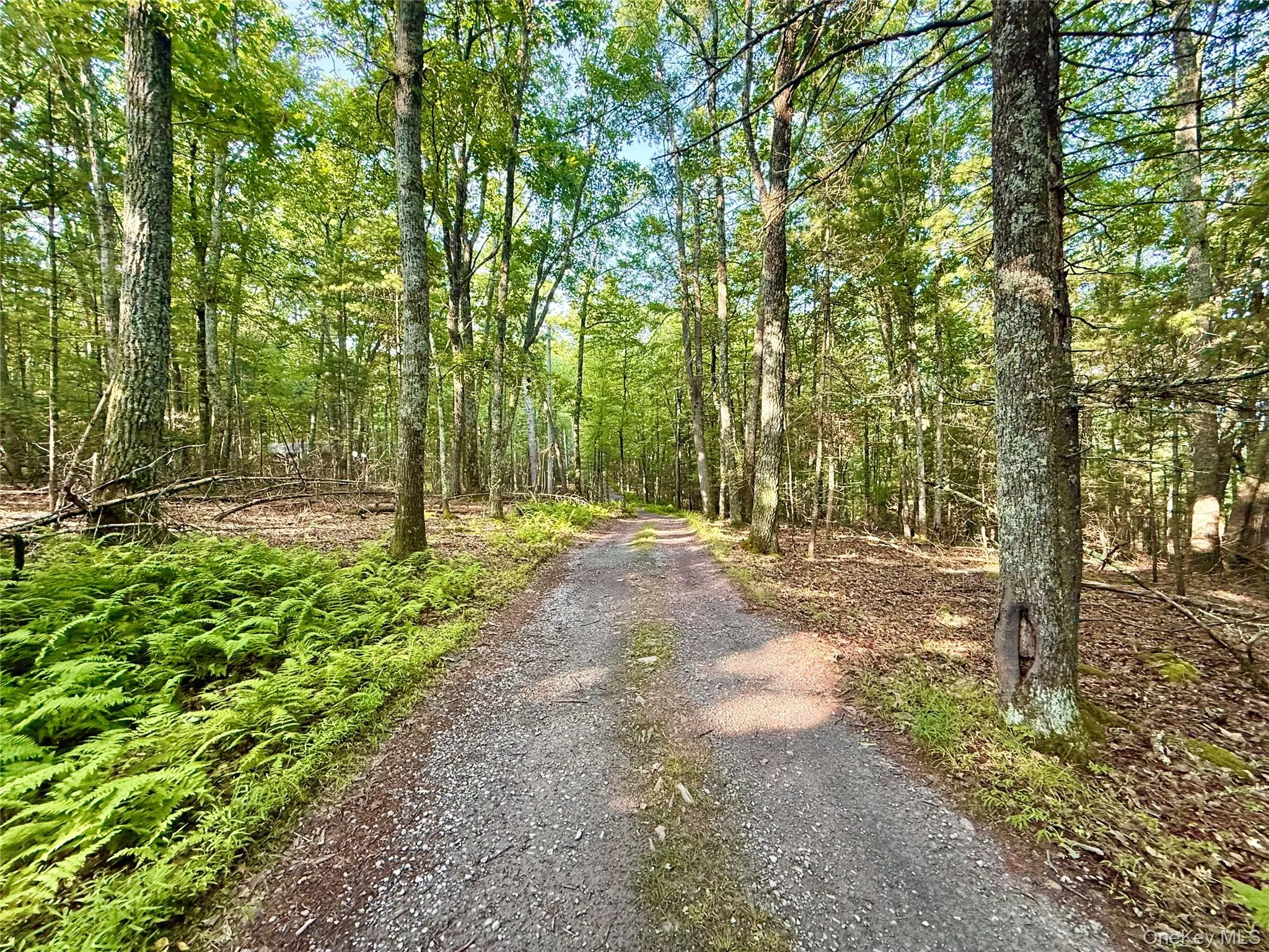 Marko Drive, Highland, NY, ,Land,For Rent,Marko,0,978761 Marko Drive, Highland, NY, ,Land,For Rent,Marko,0,978761